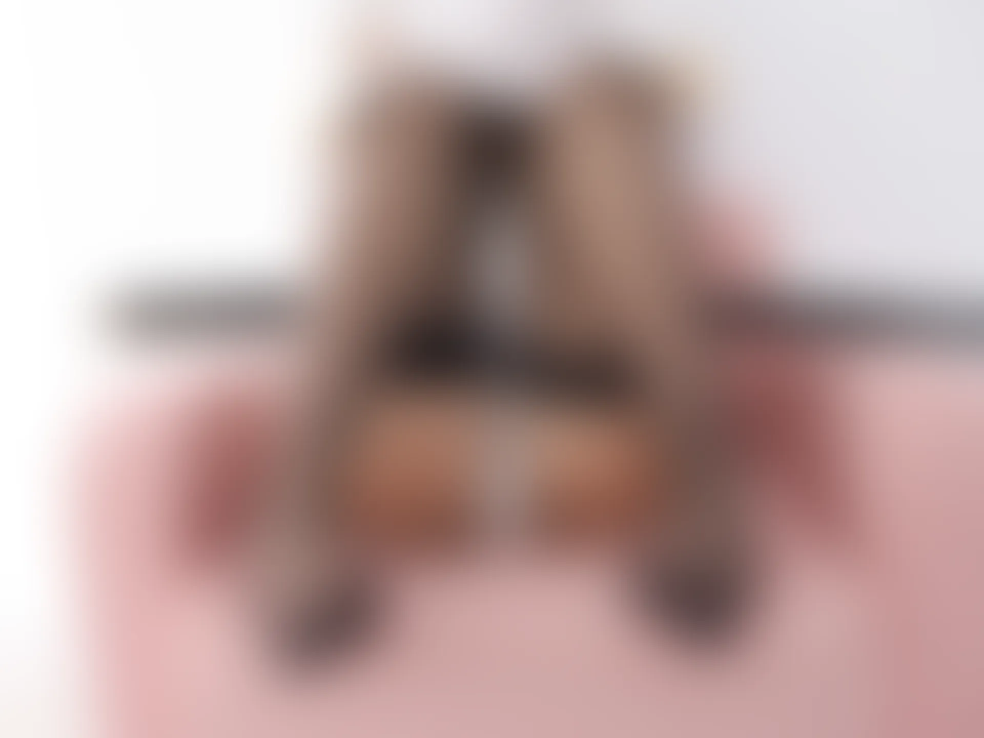 紧急企划 VOL.016 [80P1V-2.06G] 一只喵喵梓 爱宕黑丝一只喵喵梓, 制服, 爱宕, 紧急企划, 美腿, 美足, 黑丝