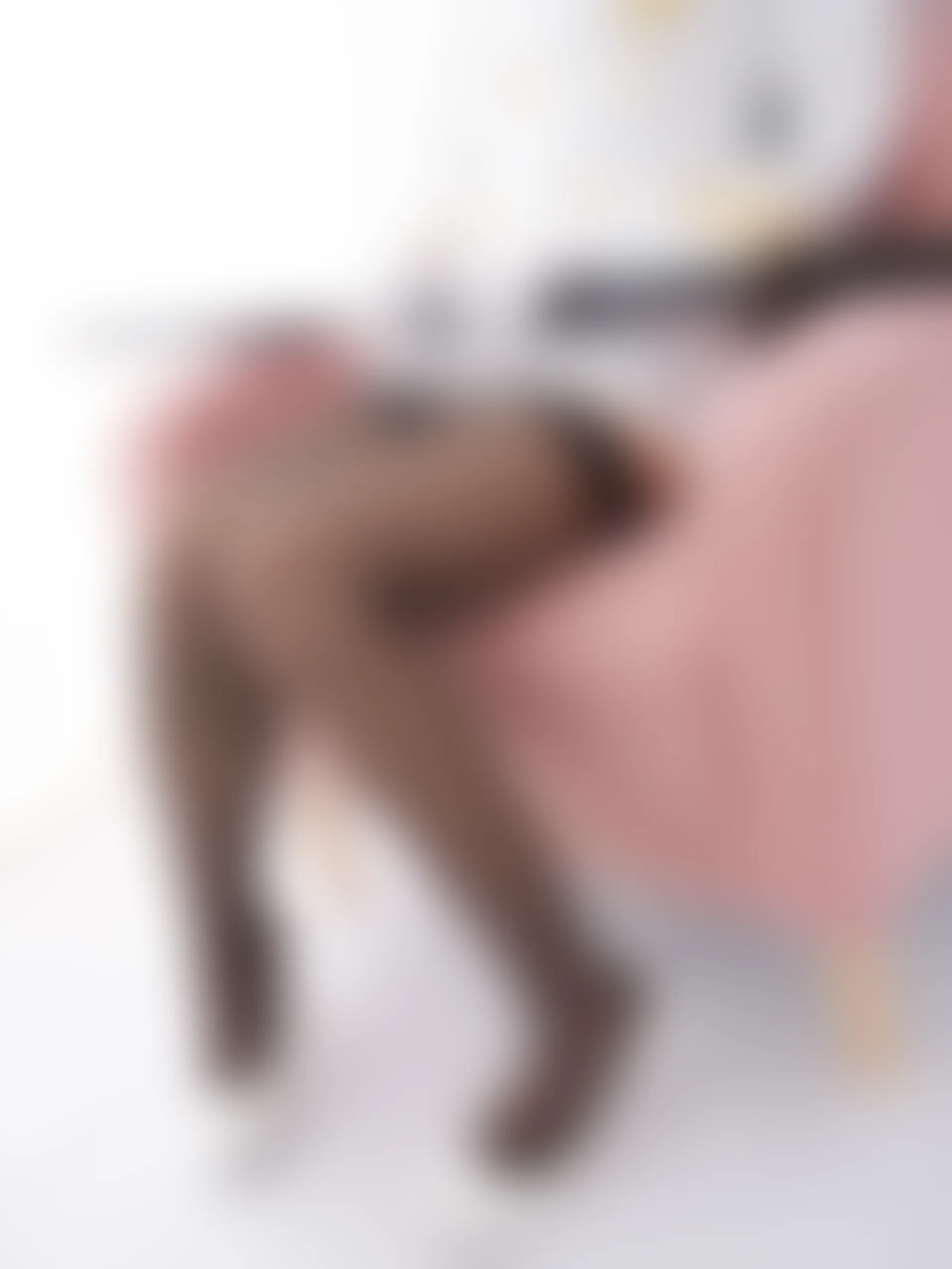 紧急企划 VOL.016 [80P1V-2.06G] 一只喵喵梓 爱宕黑丝一只喵喵梓, 制服, 爱宕, 紧急企划, 美腿, 美足, 黑丝