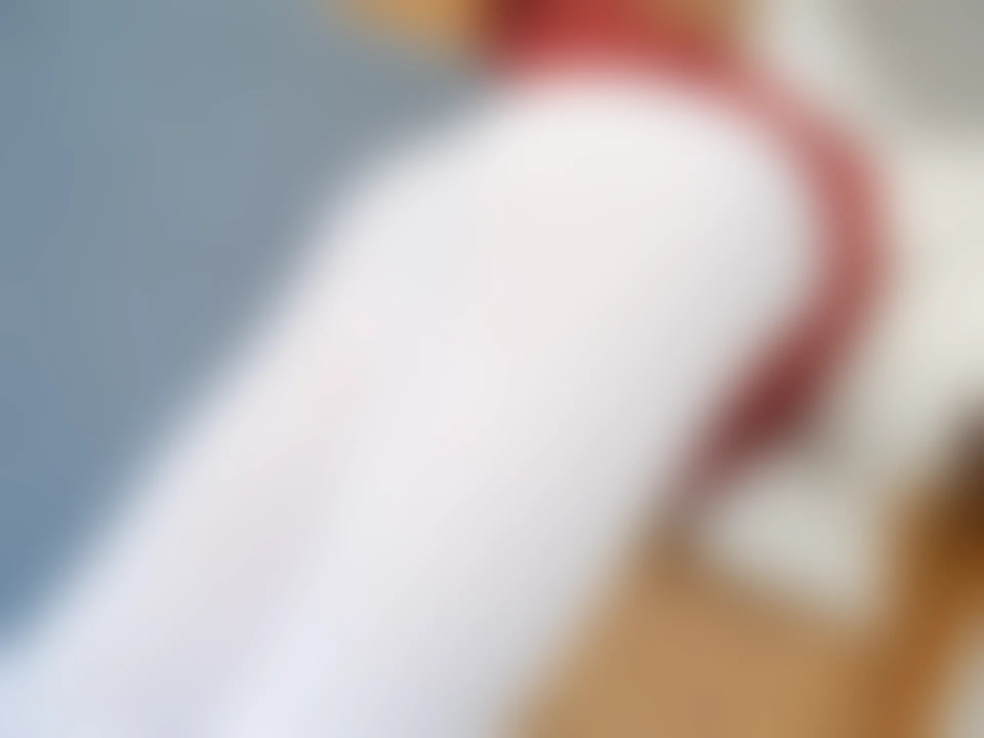 紧急企划 内部-015 一只喵喵梓 白丝肉丝JK制服 [90P1V-5.16GB]JK制服, 一只喵喵梓, 白丝, 紧急企划, 美腿, 美足, 肉丝