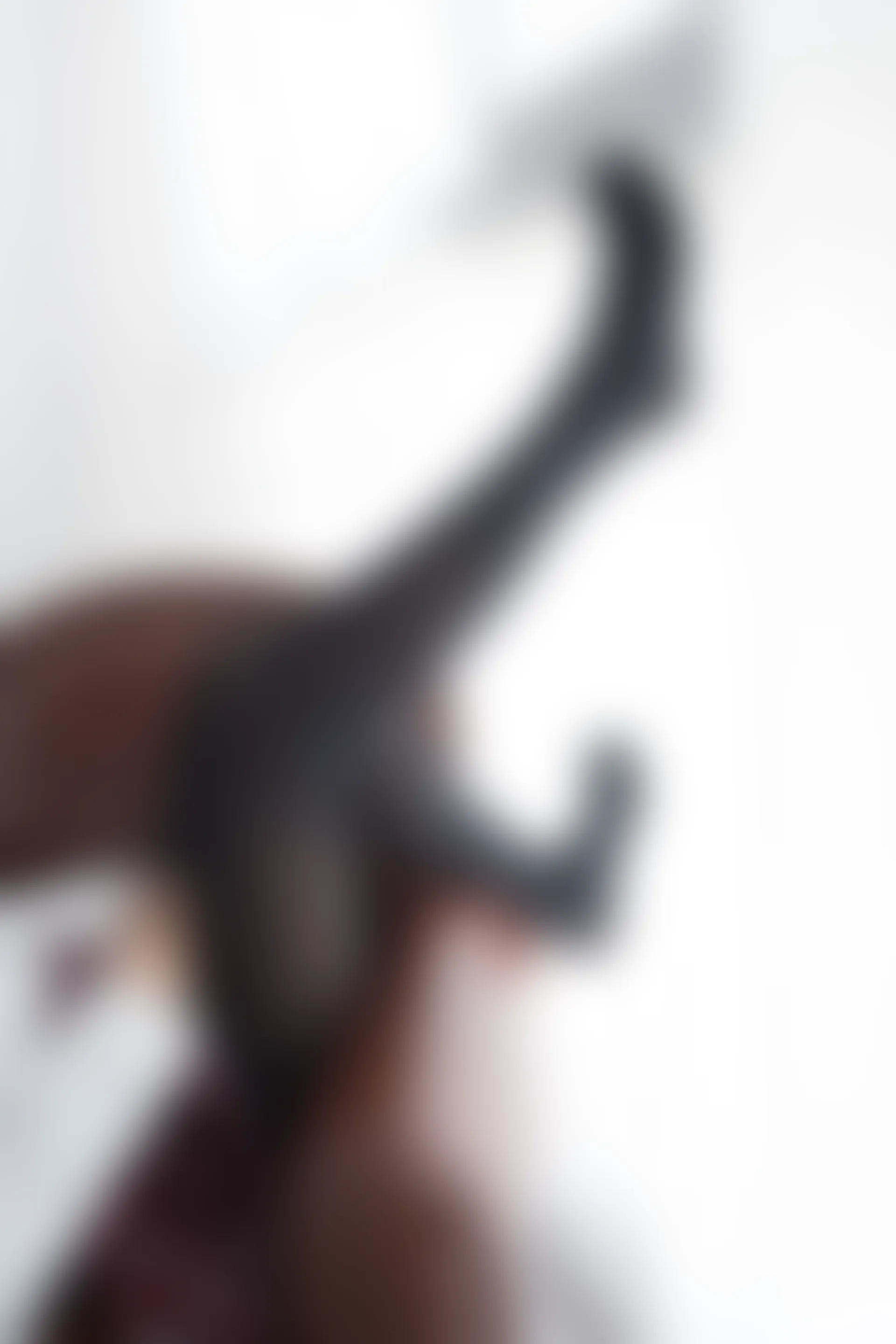 森萝财团 R15-002 [65P-304M]可爱, 学生装, 森萝财团, 美腿, 黑丝