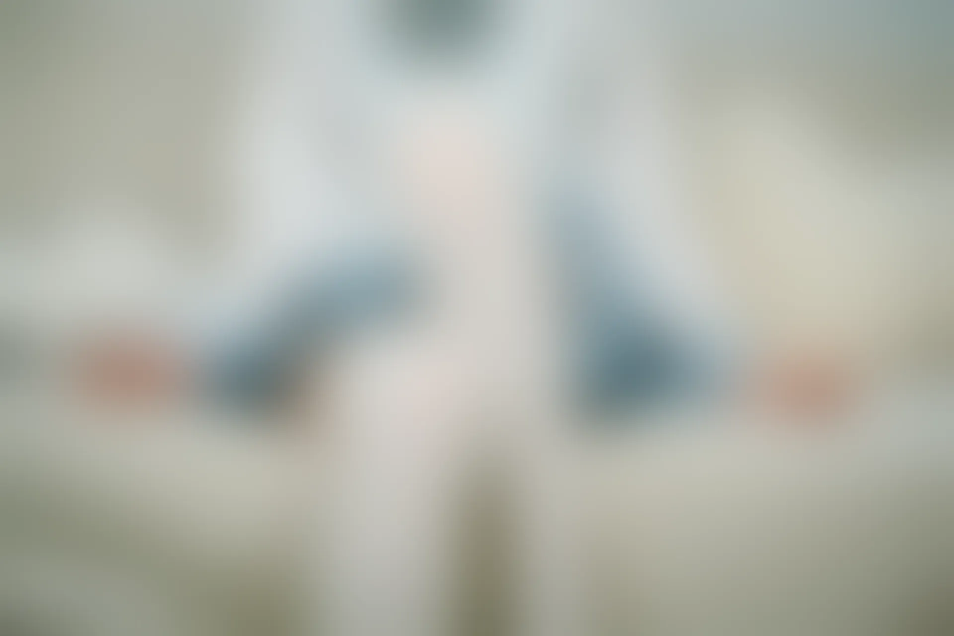 C00.005 邻家宅小妹 [40P-282MB]