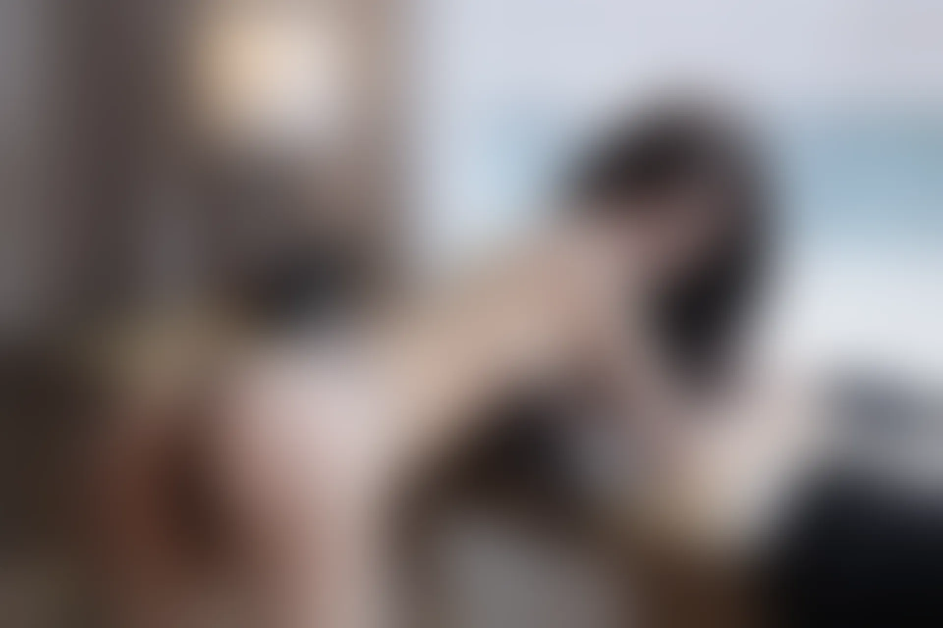 XIUREN秀人网 2023.05.30 NO.6824 玉兔miki [90+1P835M]