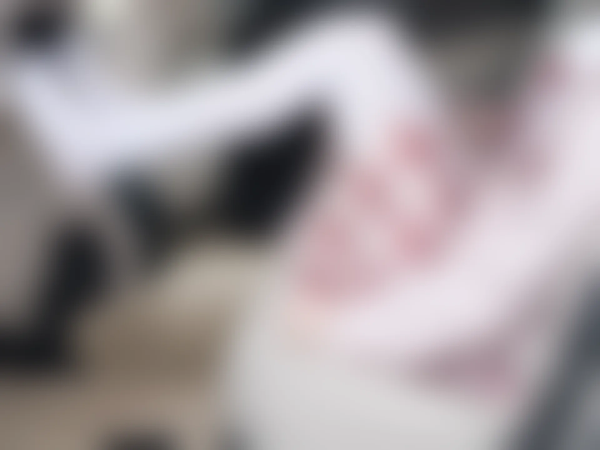 紧急企划 Y-002 [108P-1.63G] 咦咿yiyiyiyiyi 白丝JK制服 户外车内JK, 咦咿yiyiyiyiyi, 白丝, 紧急企划, 美腿, 美足