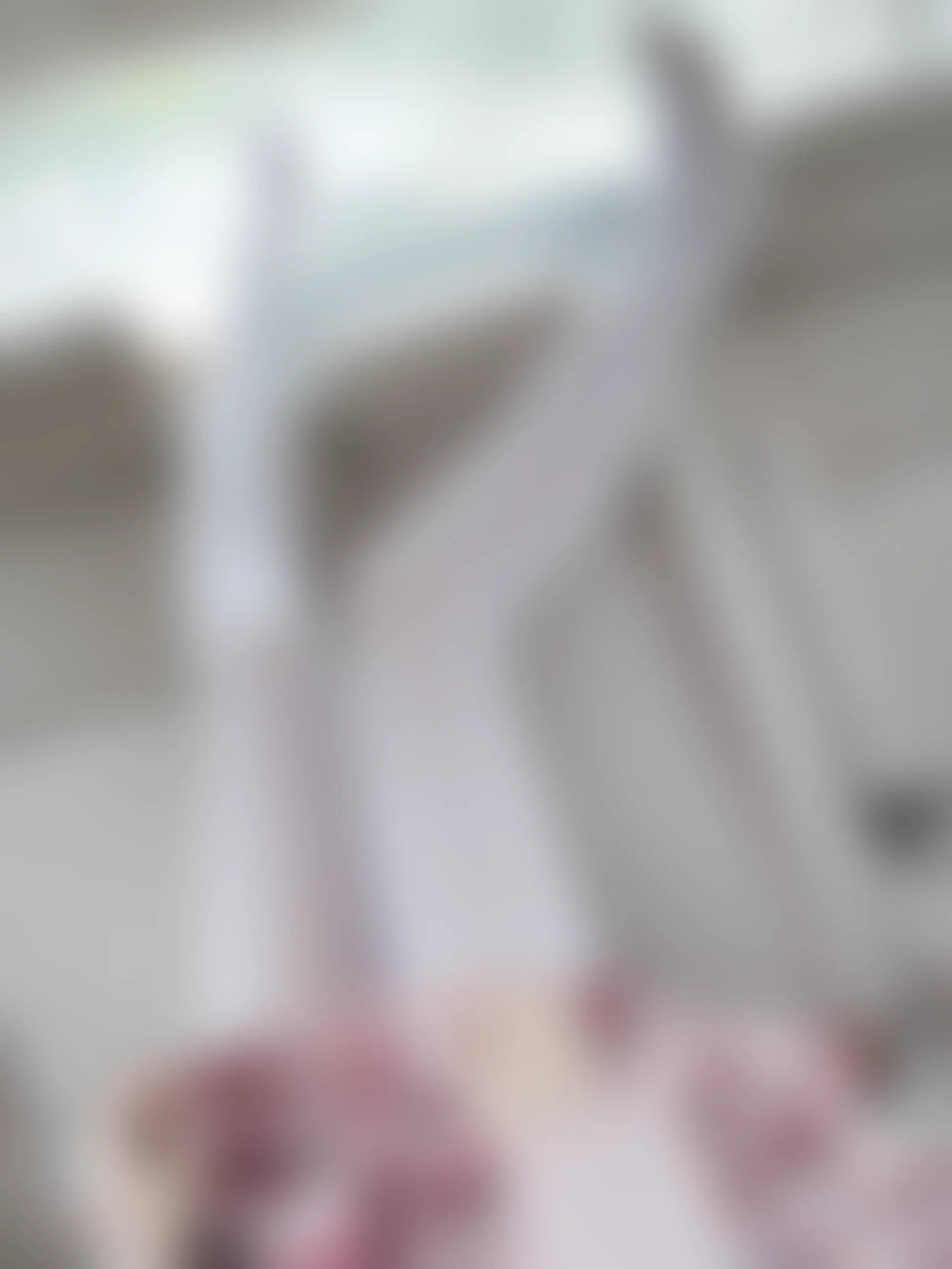 紧急企划 Y-002 [108P-1.63G] 咦咿yiyiyiyiyi 白丝JK制服 户外车内JK, 咦咿yiyiyiyiyi, 白丝, 紧急企划, 美腿, 美足