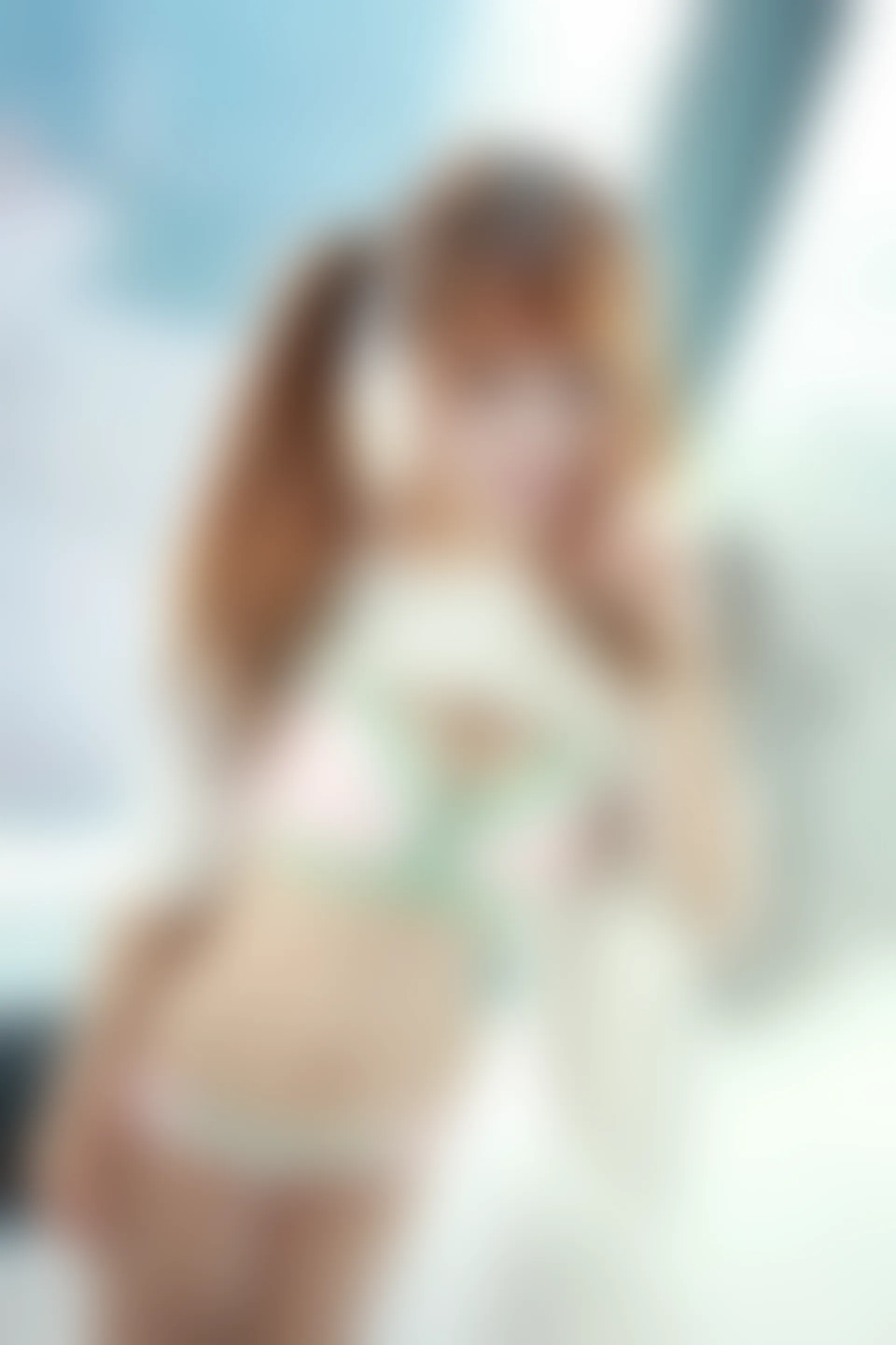 XiuRen秀人网 2015.01.06 No.272 子纯儿Annie [52P215M]