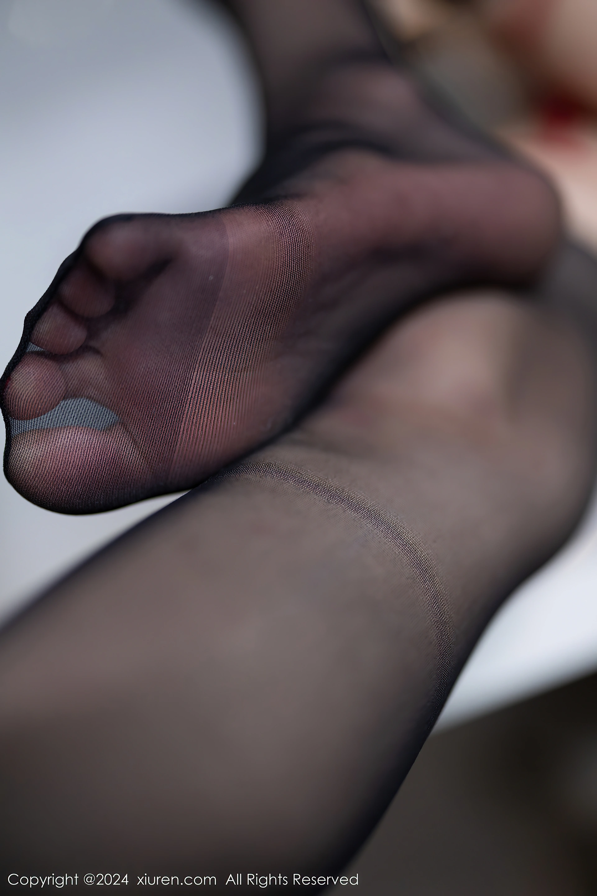 XIUREN秀人网 2024.01.11 NO.7946 程程程-[86+1P／666MB]