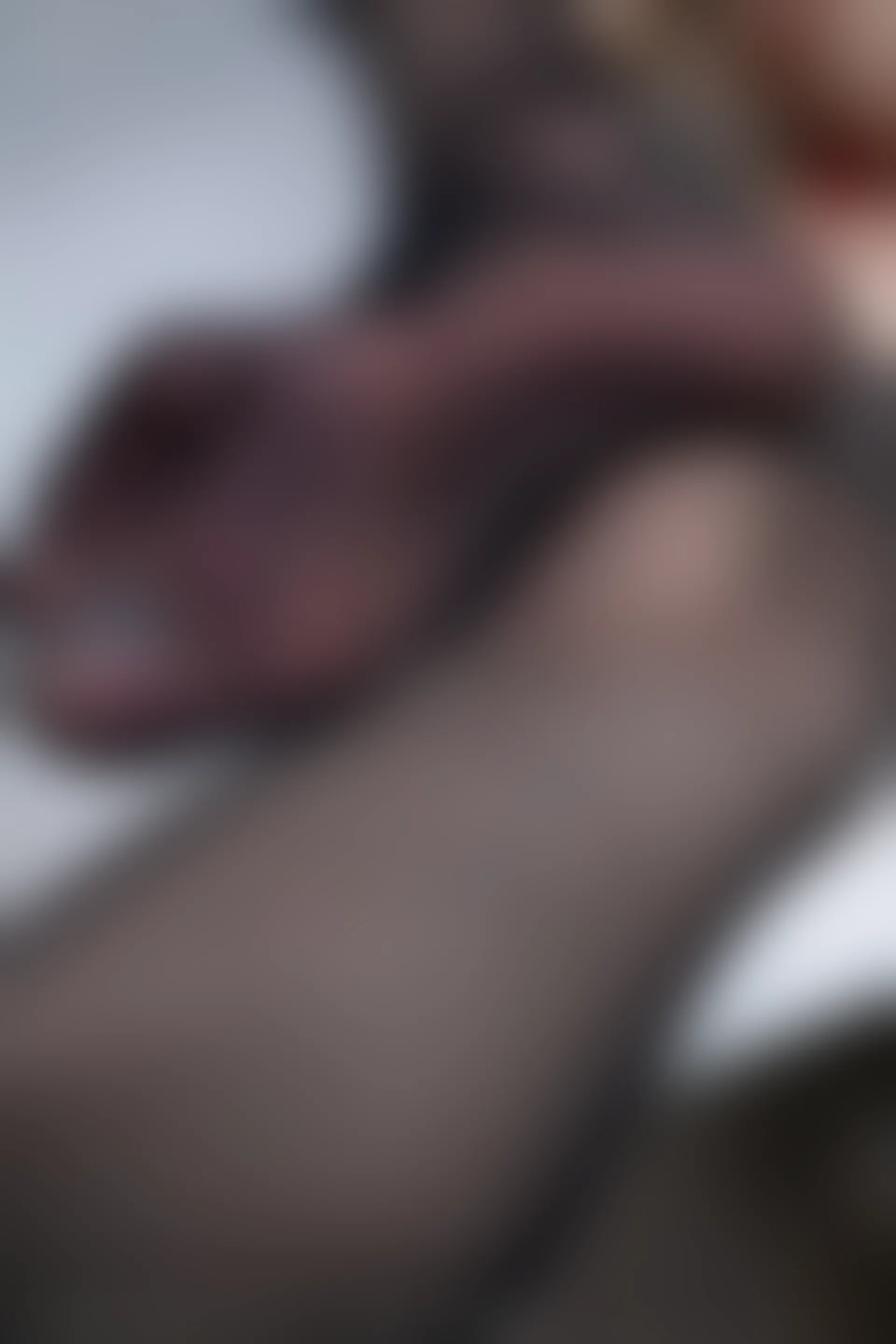 XIUREN秀人网 2024.01.11 NO.7946 程程程-[86+1P／666MB]