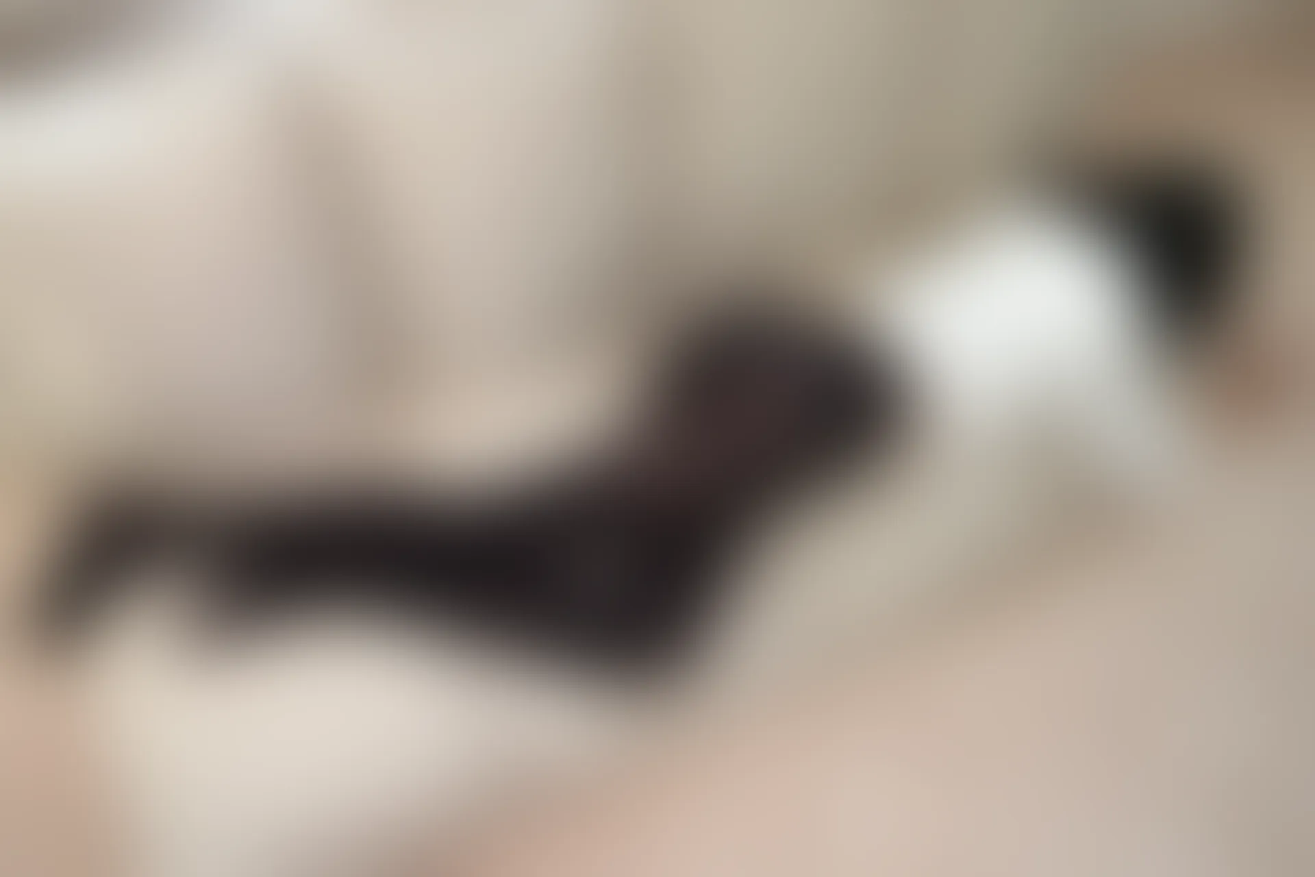 爱花写真 ALPHA-005 [135P-1.34G]森萝财团, 爱花写真, 美腿, 美足, 黑丝