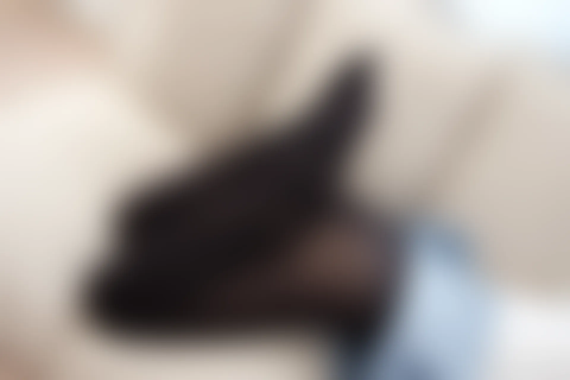 爱花写真 ALPHA-005 [135P-1.34G]森萝财团, 爱花写真, 美腿, 美足, 黑丝