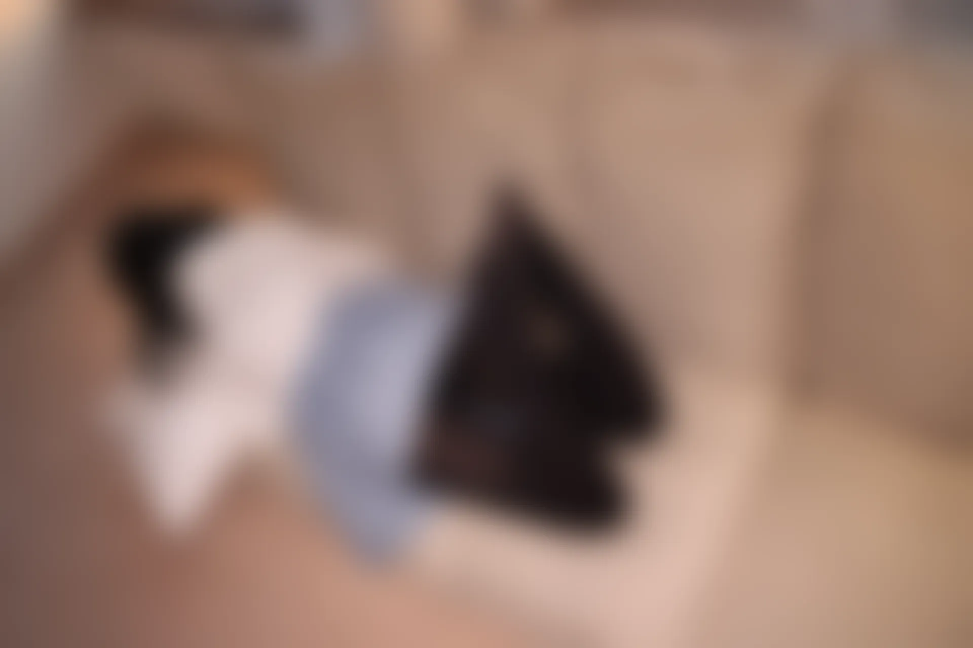 爱花写真 ALPHA-005 [135P-1.34G]森萝财团, 爱花写真, 美腿, 美足, 黑丝