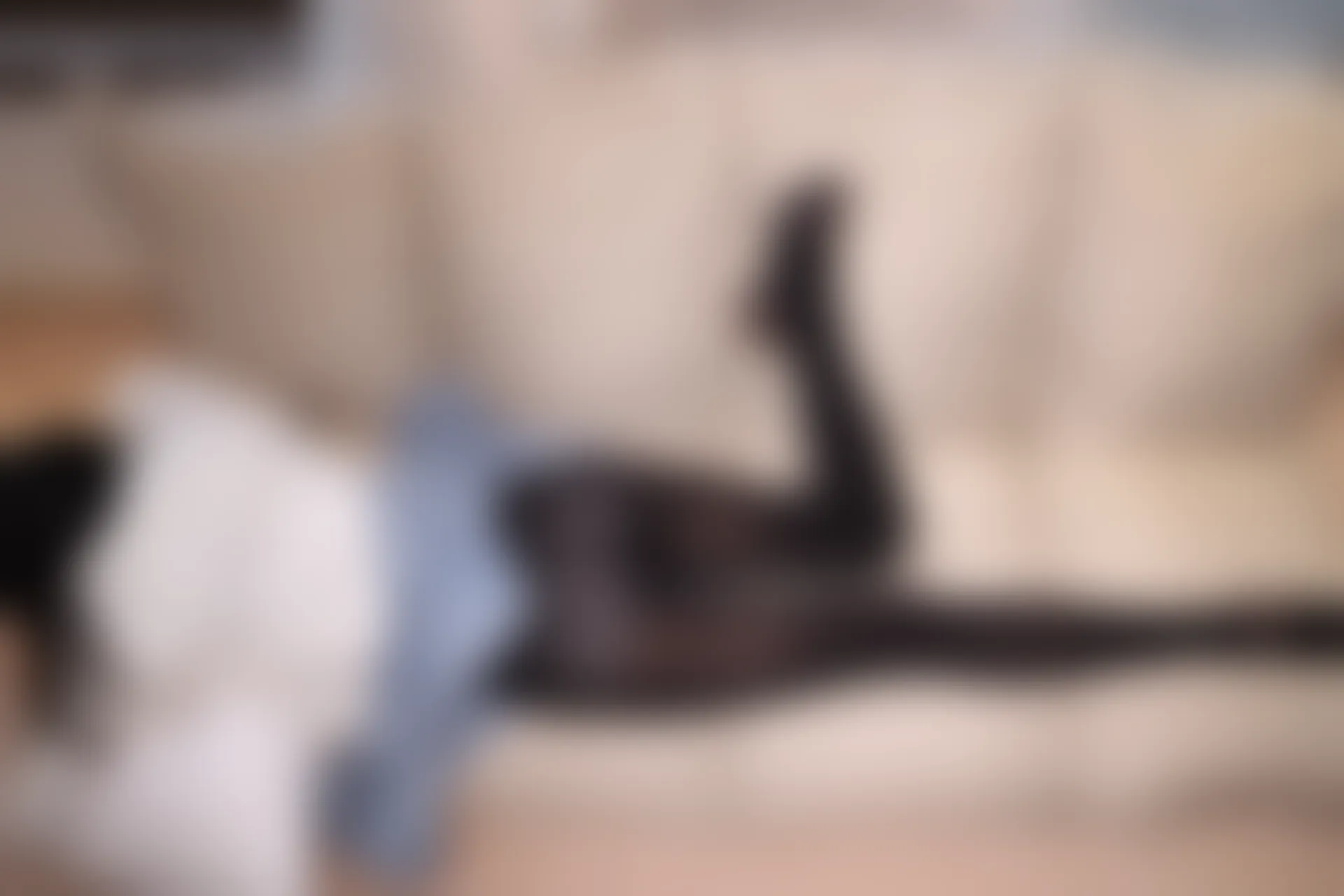 爱花写真 ALPHA-005 [135P-1.34G]森萝财团, 爱花写真, 美腿, 美足, 黑丝