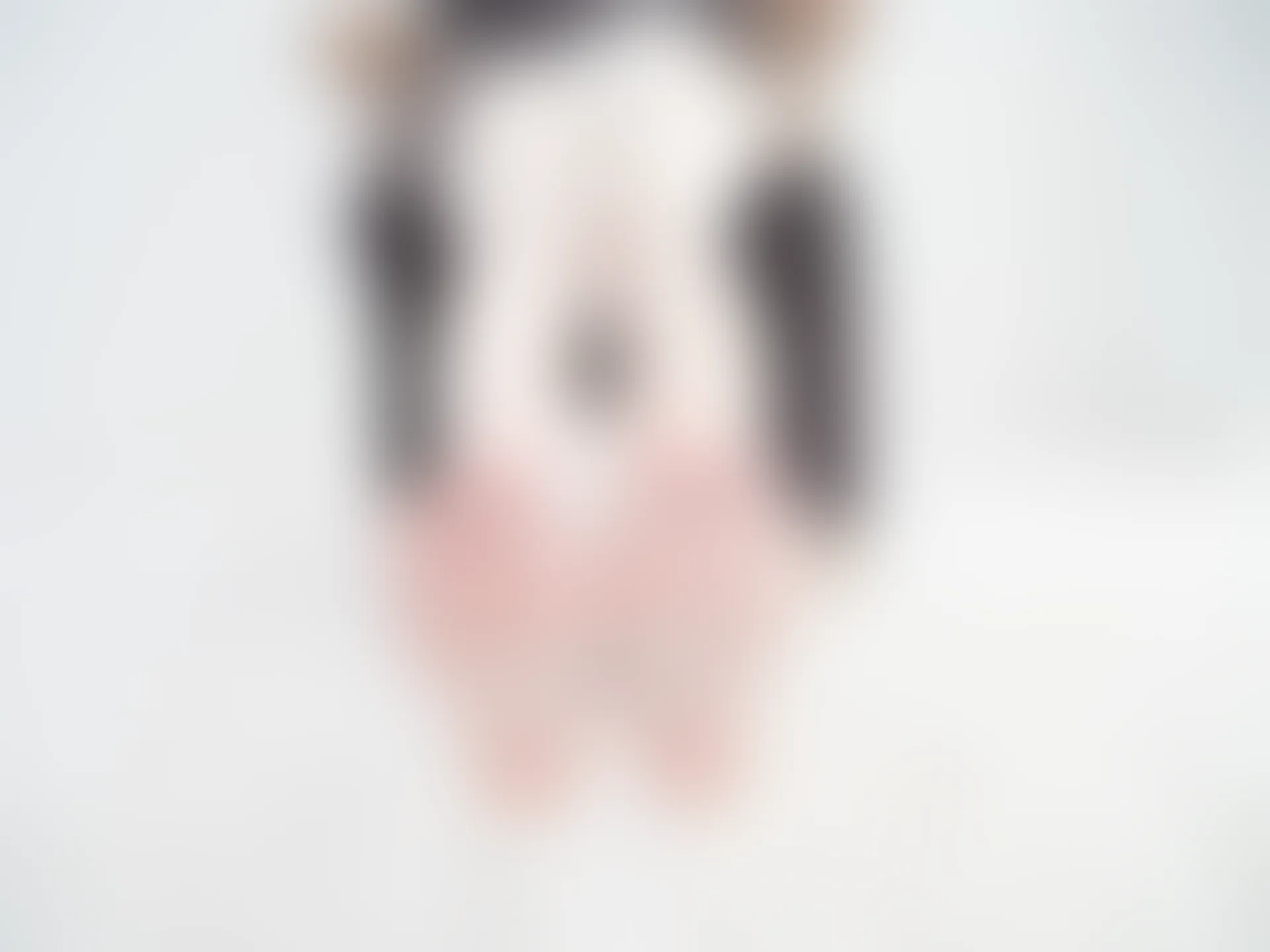 紧急企划 EX.012 见希w 白丝修女 [56P1V-1.87GB]修女, 白丝, 紧急企划, 美腿, 美足, 见希w