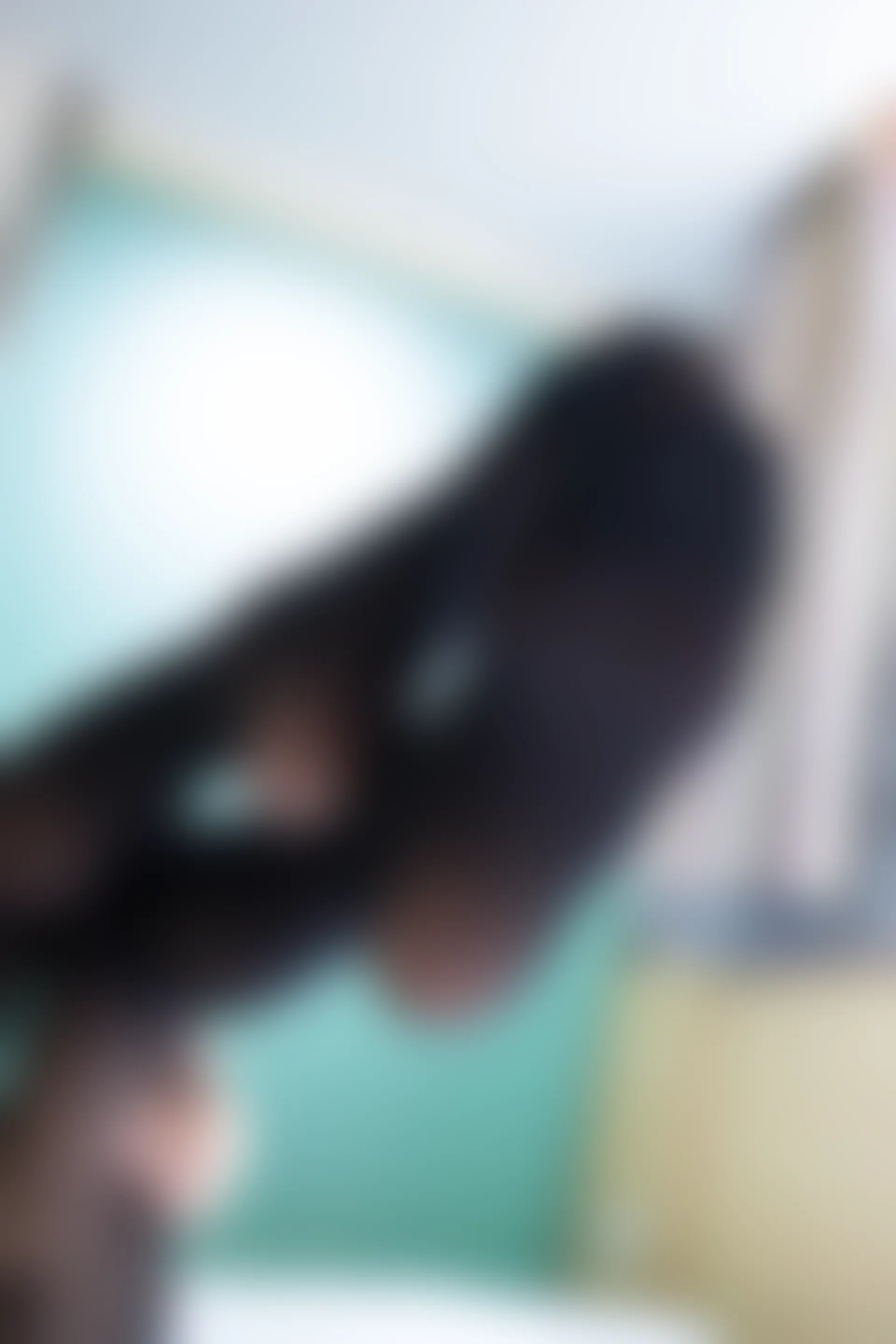 森萝财团 BETA-035 [36P-419M]制服, 森萝财团, 水手服, 美腿, 黑丝