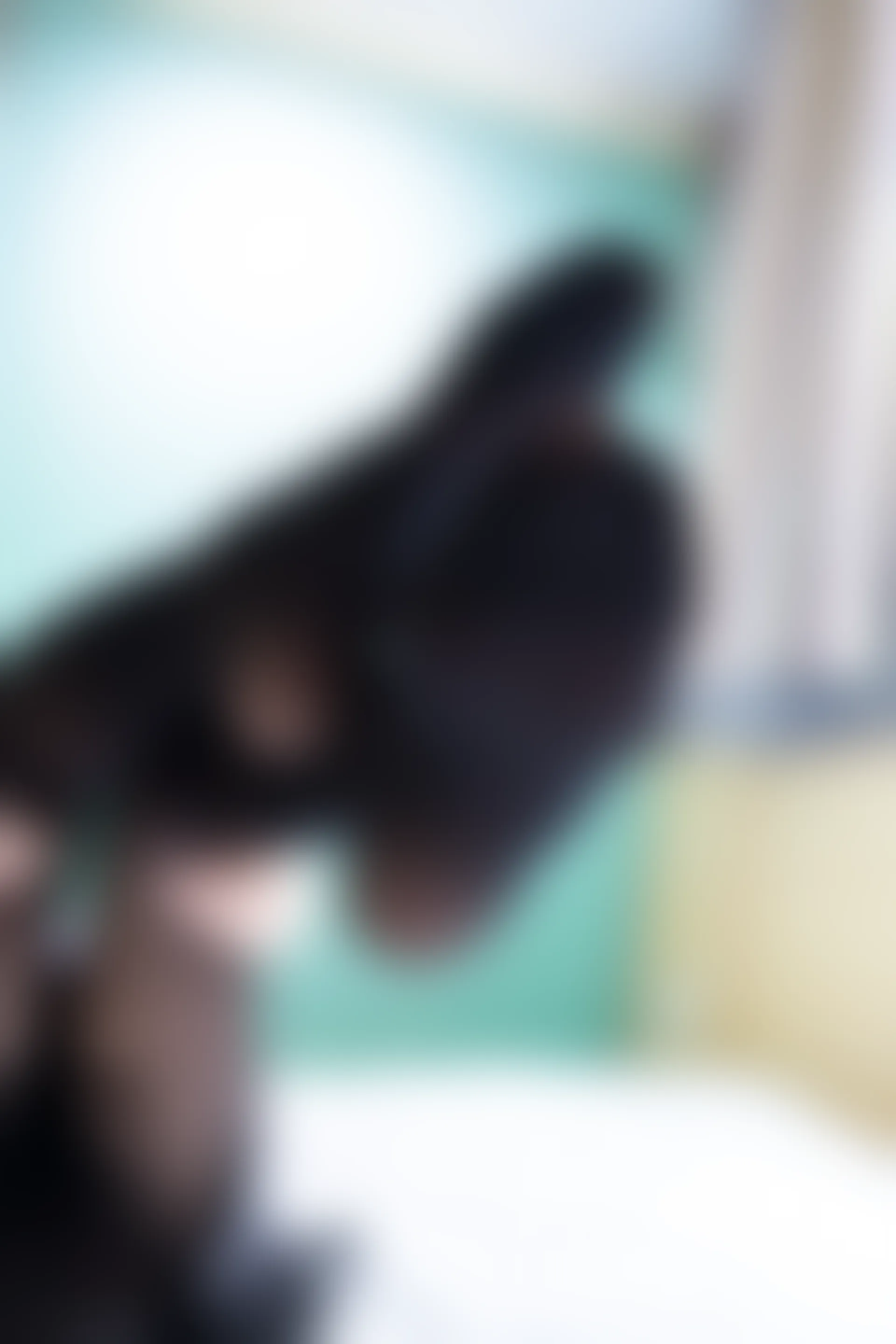 森萝财团 BETA-035 [36P-419M]制服, 森萝财团, 水手服, 美腿, 黑丝