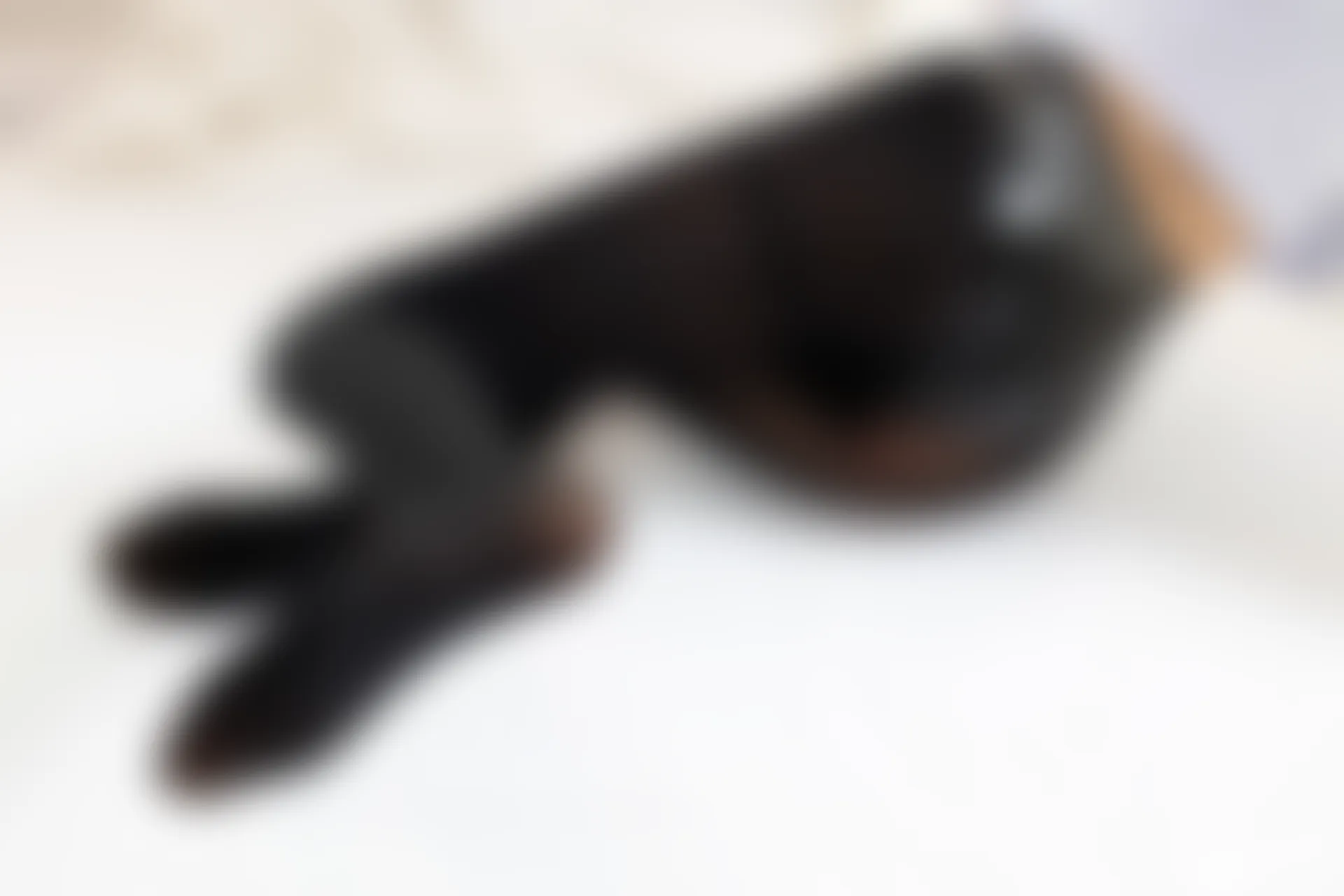 爱花写真 ALPHA-017 [217P-2.52G]—— 标签：森萝财团, 爱花写真, 美腿, 美足, 黑丝