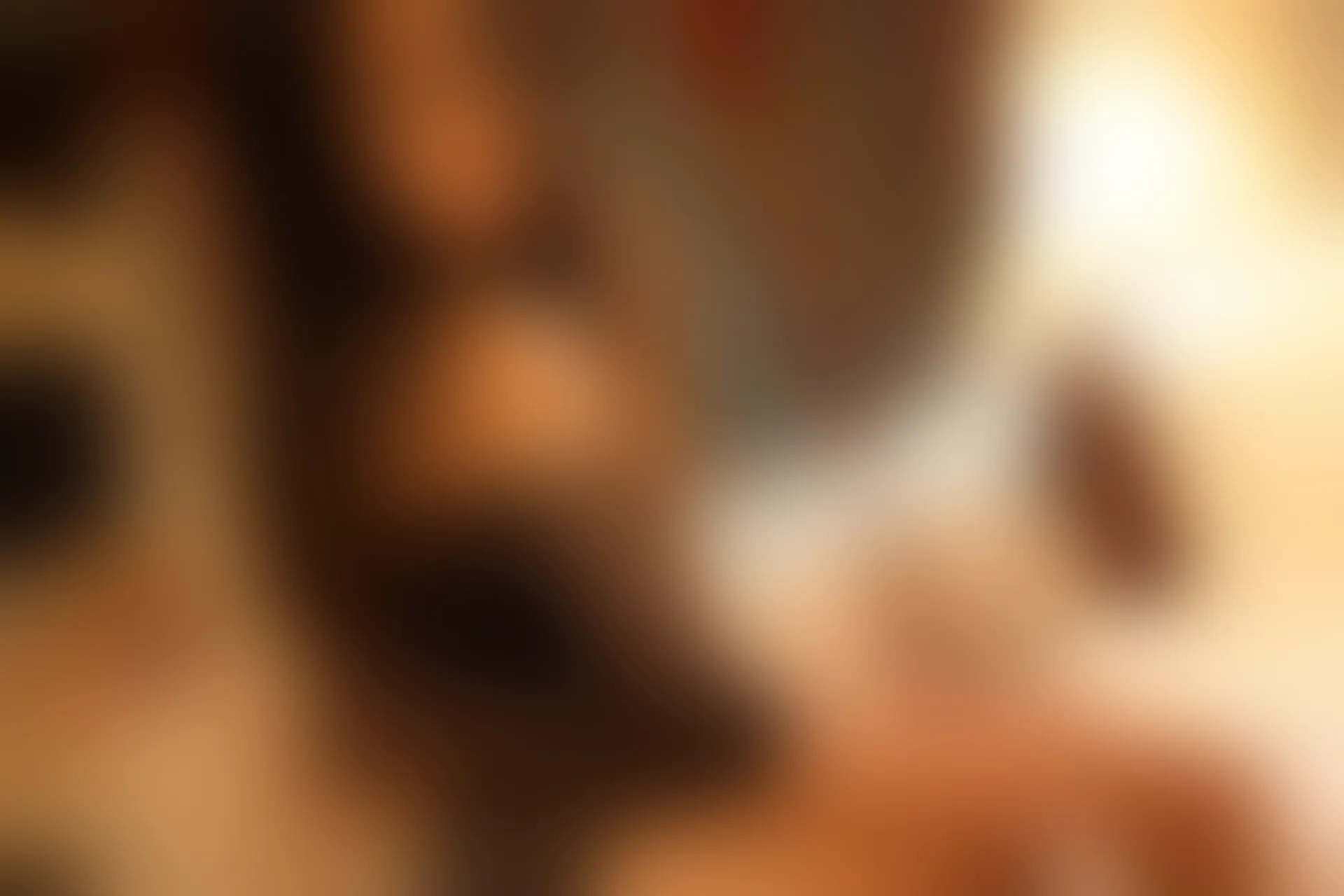 XiuRen秀人网 2014.03.21 No.116 Sissi诗诗 [75P]