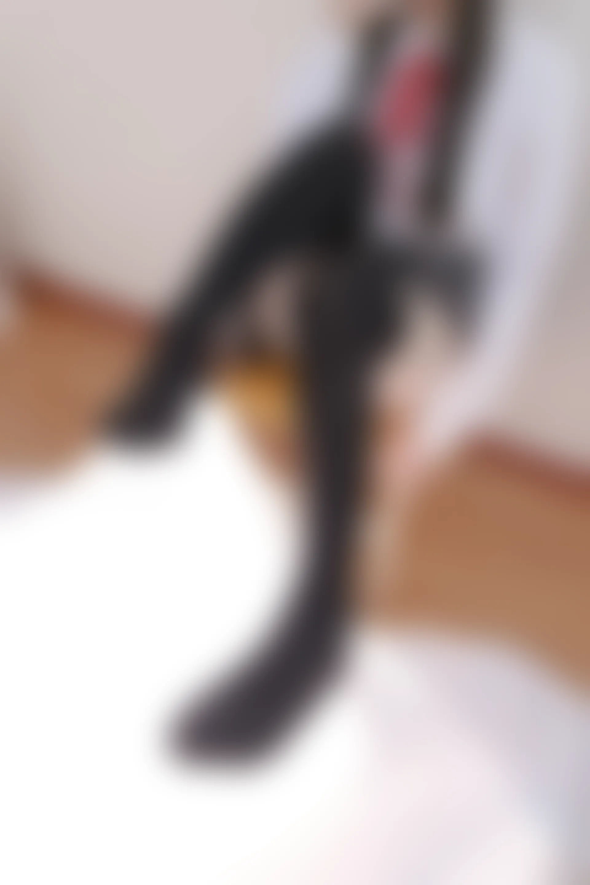 喵写真 R15-008 [91P1V-583M]可爱, 喵写真, 学生装, 美腿, 黑丝