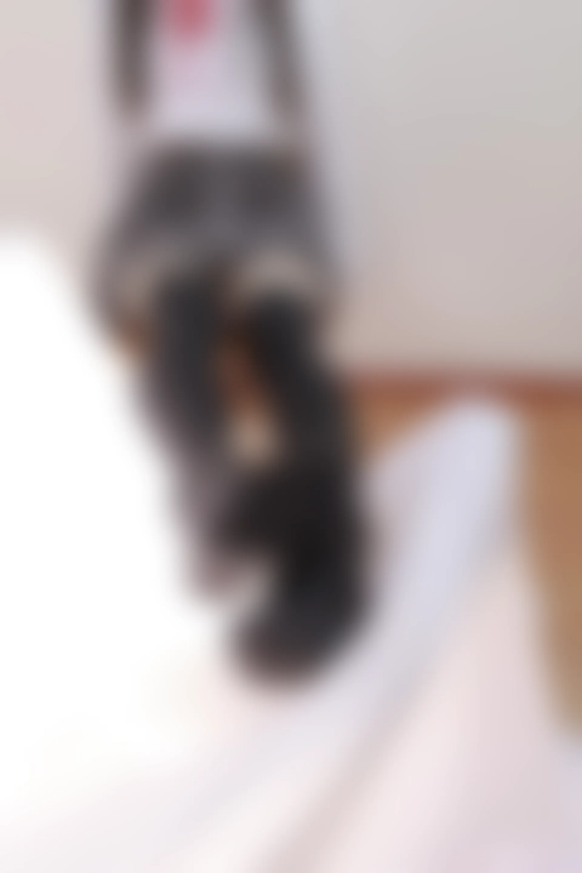 喵写真 R15-008 [91P1V-583M]可爱, 喵写真, 学生装, 美腿, 黑丝