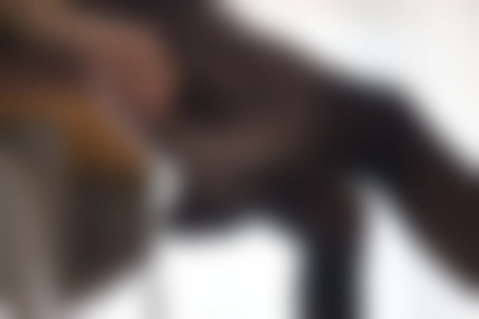 喵写真 VOL-004 [71P-289M]可爱, 喵写真, 学生装, 美腿, 黑丝