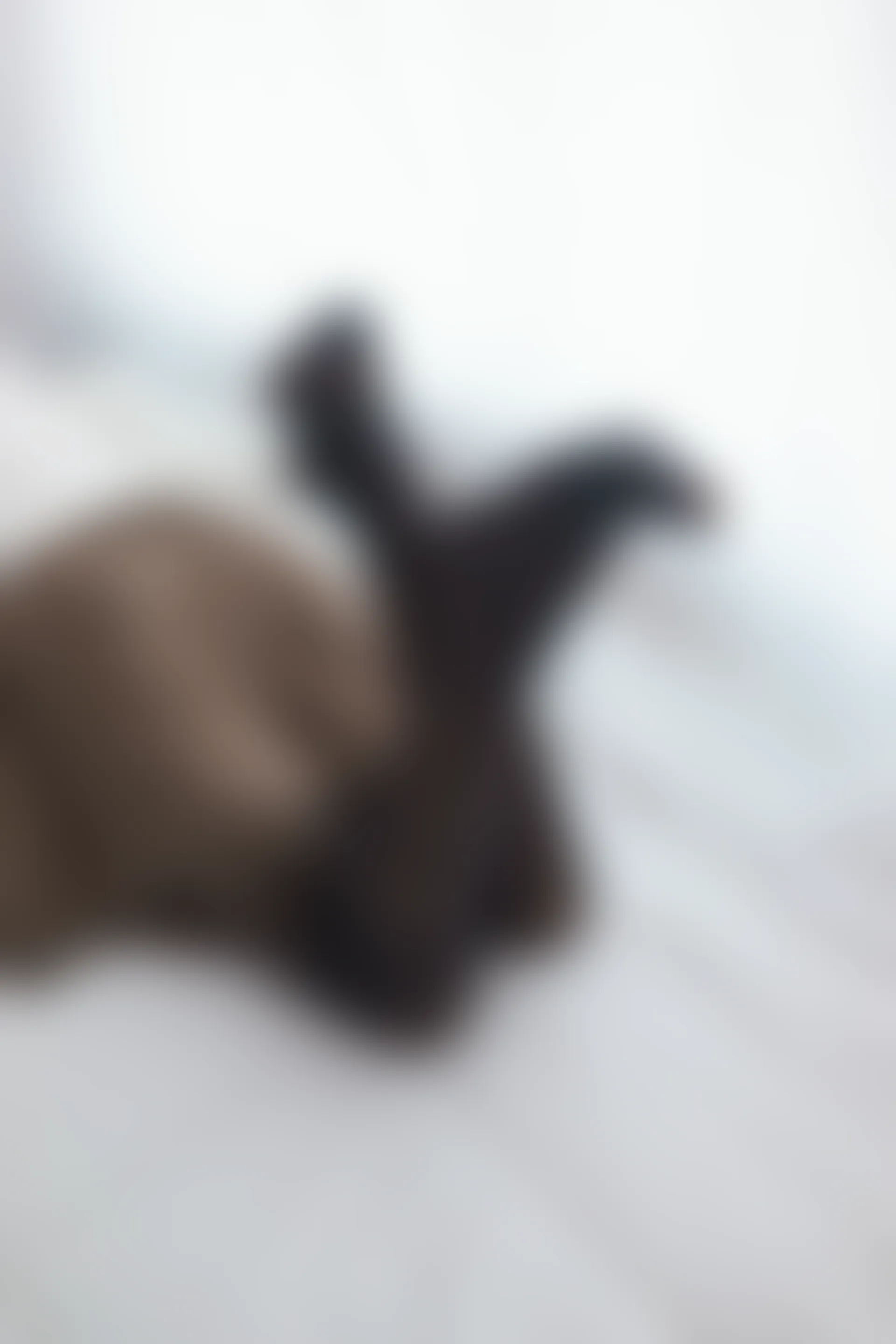 喵写真 VOL-004 [71P-289M]可爱, 喵写真, 学生装, 美腿, 黑丝