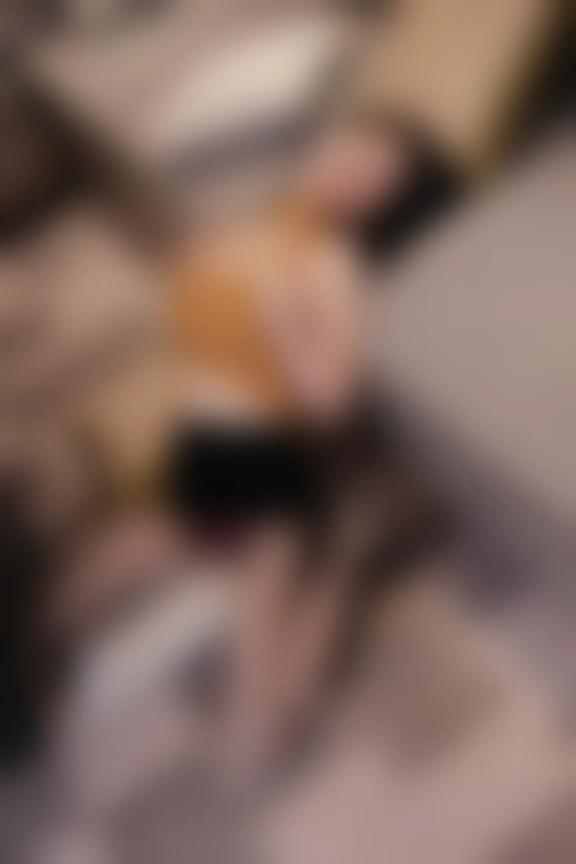 XIUREN秀人网 2023.06.15 NO.6920 尹甜甜 [82+1P885M]