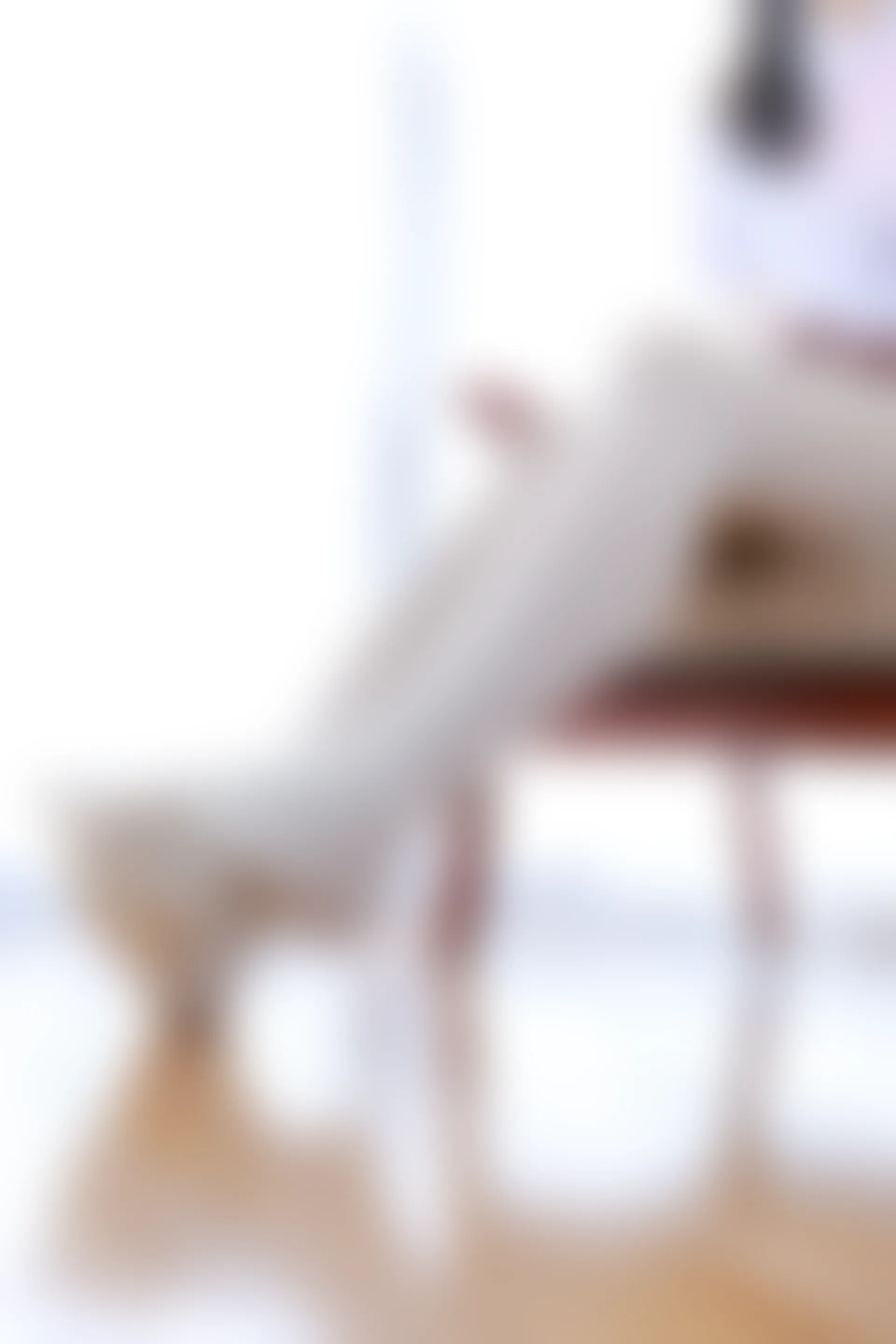 喵写真 R15-006 [98P1V-1.1G]可爱, 喵写真, 学生装, 白丝, 美腿