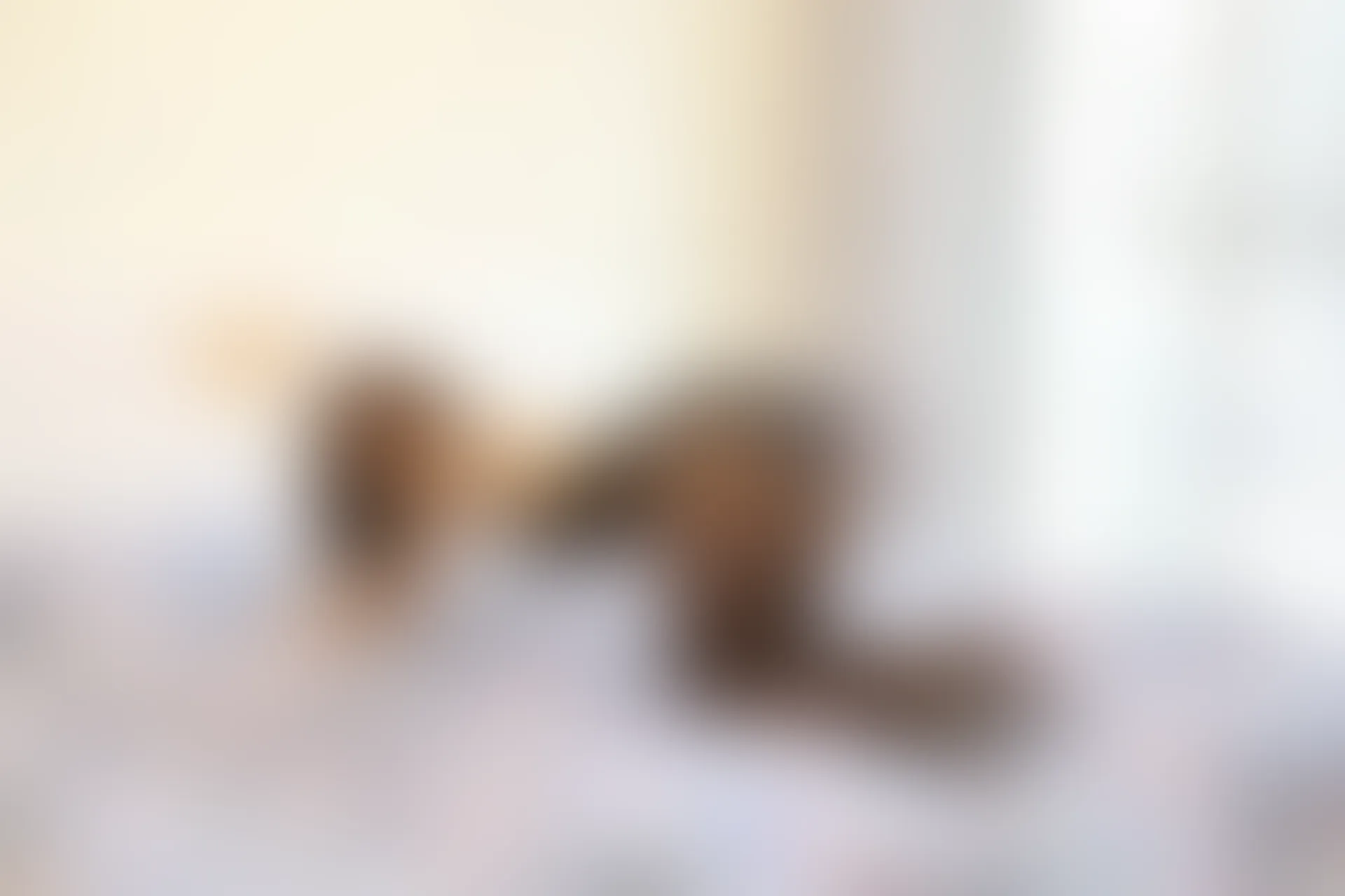 XiuRen秀人网 2019.09.09 No.1673 Yomi悠蜜 [55+1P]