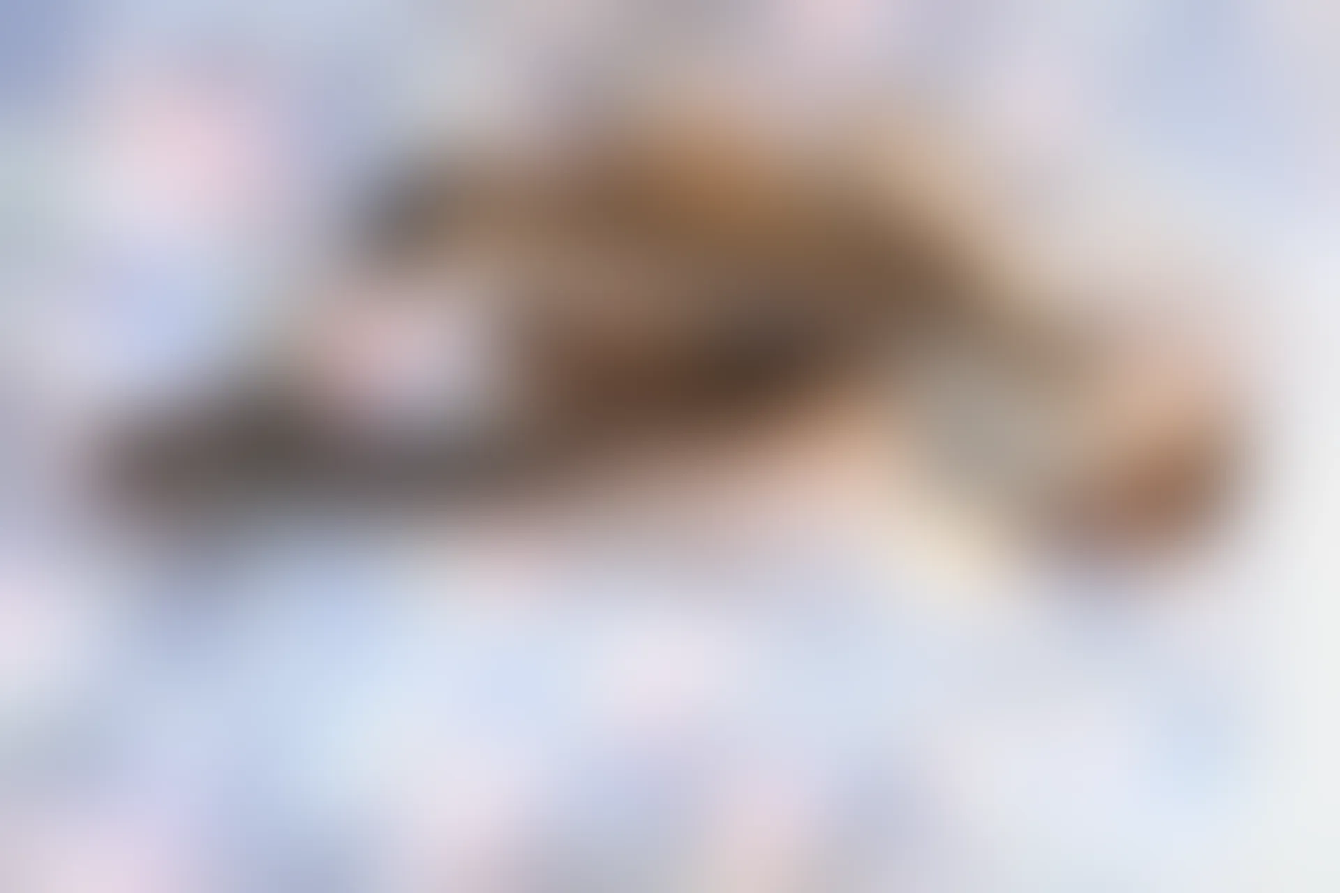 XiuRen秀人网 2019.09.09 No.1673 Yomi悠蜜 [55+1P]