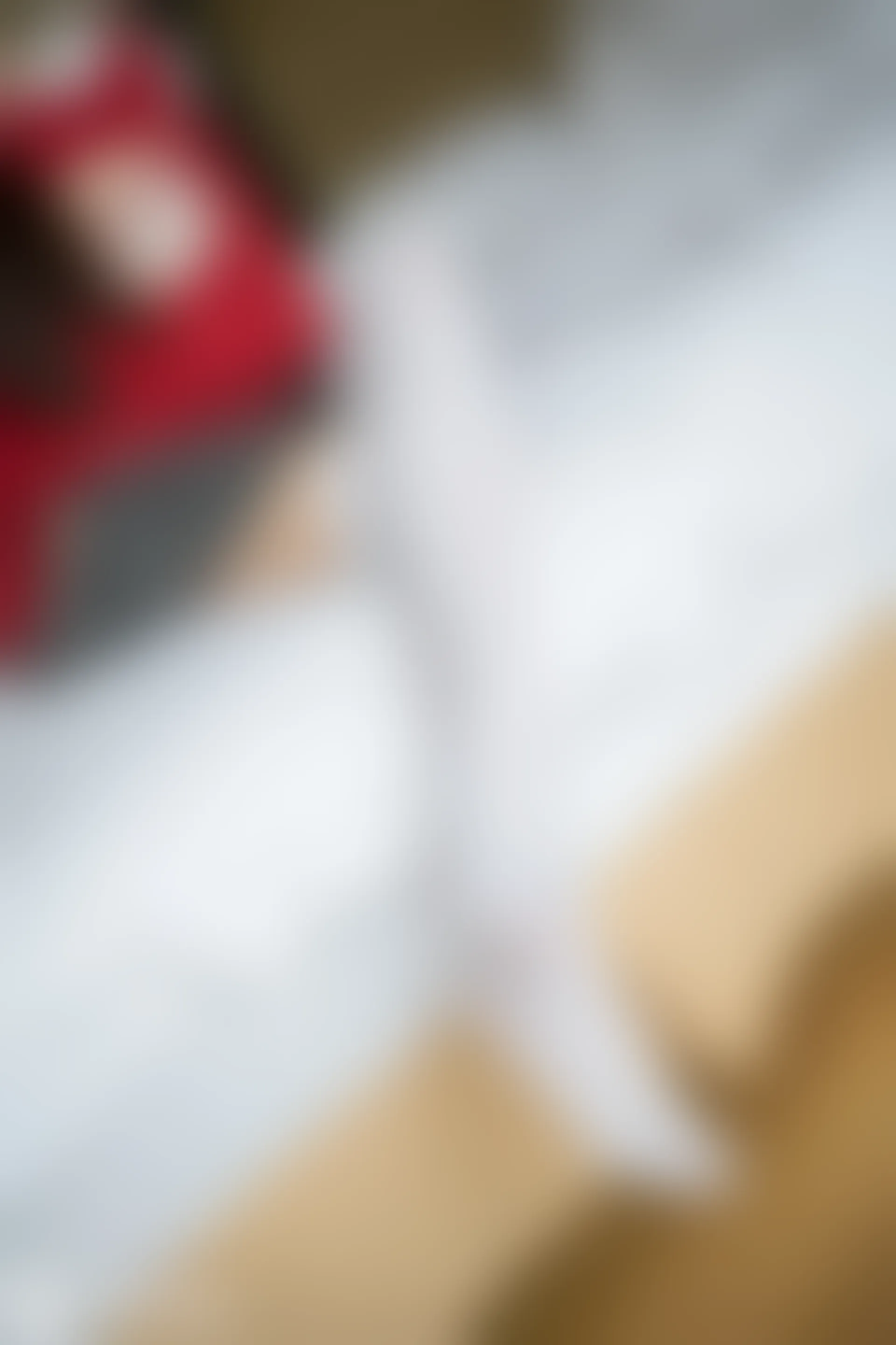 D51.003 红色T恤和白丝 [40P-84MB]