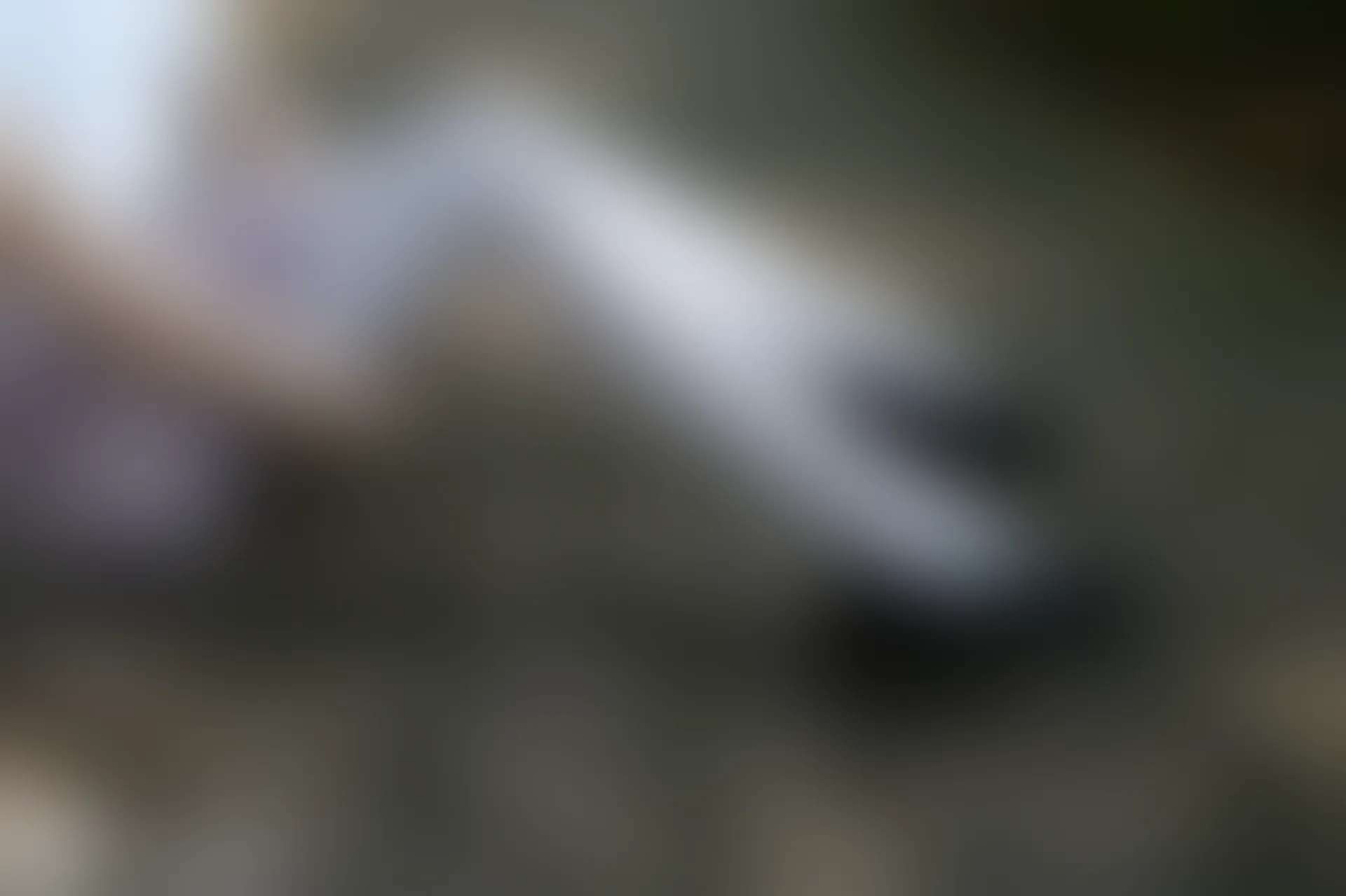 D62.004 兔玩映画 树荫斑驳了白丝 [40P-113MB]