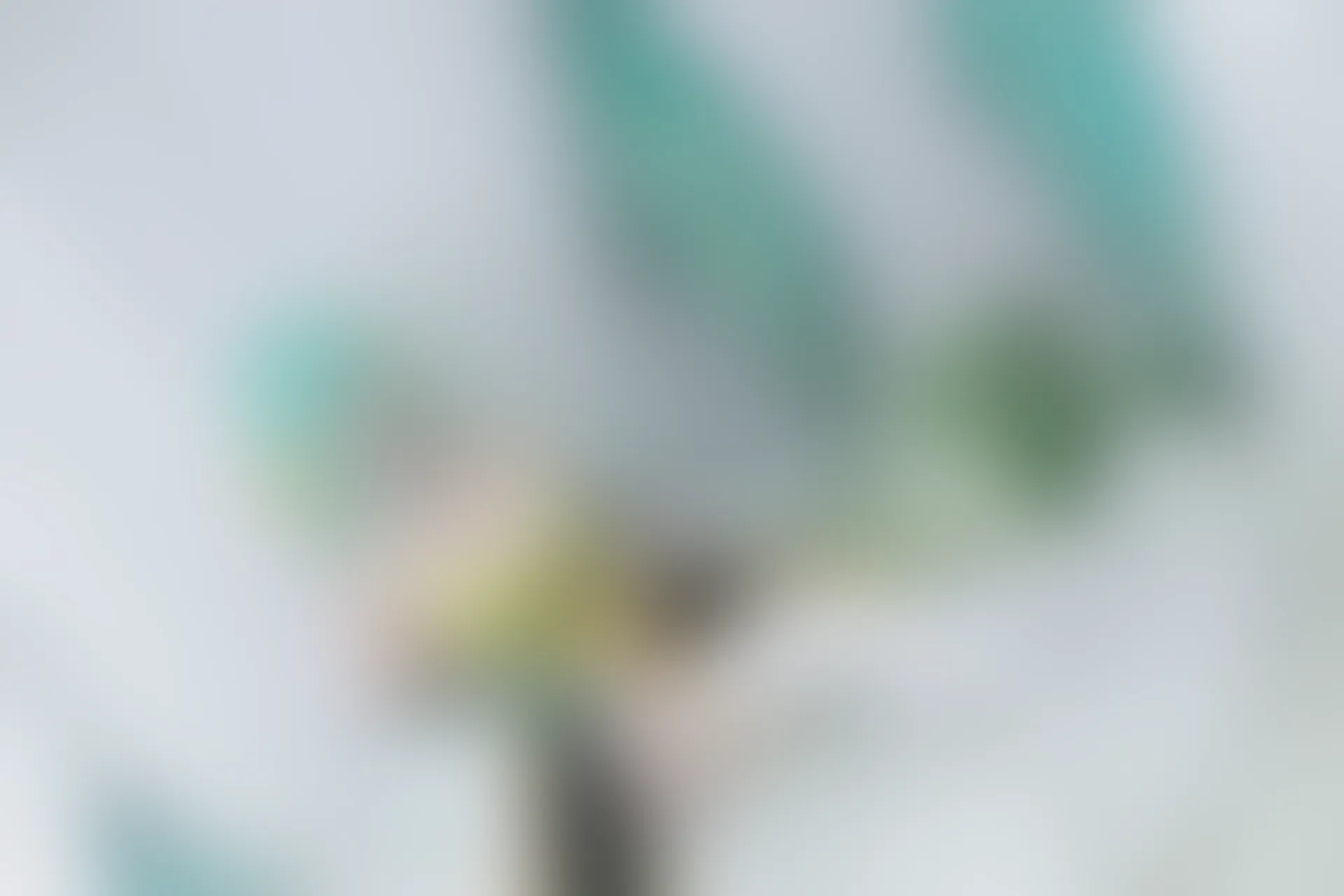 C43.001 cos合集 [40P-851MB]