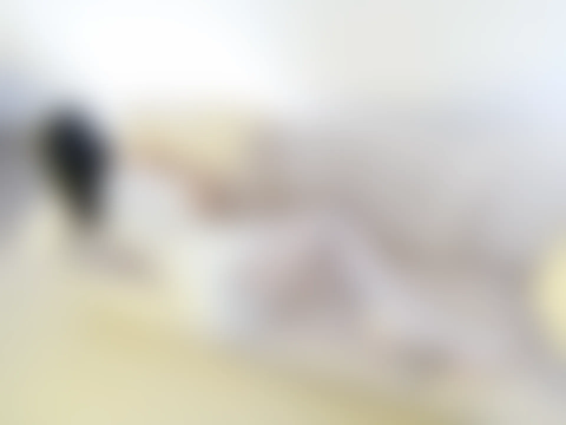 森萝财团 小樱-02E 4K 白丝T恤 [100P1V-4.7GB]