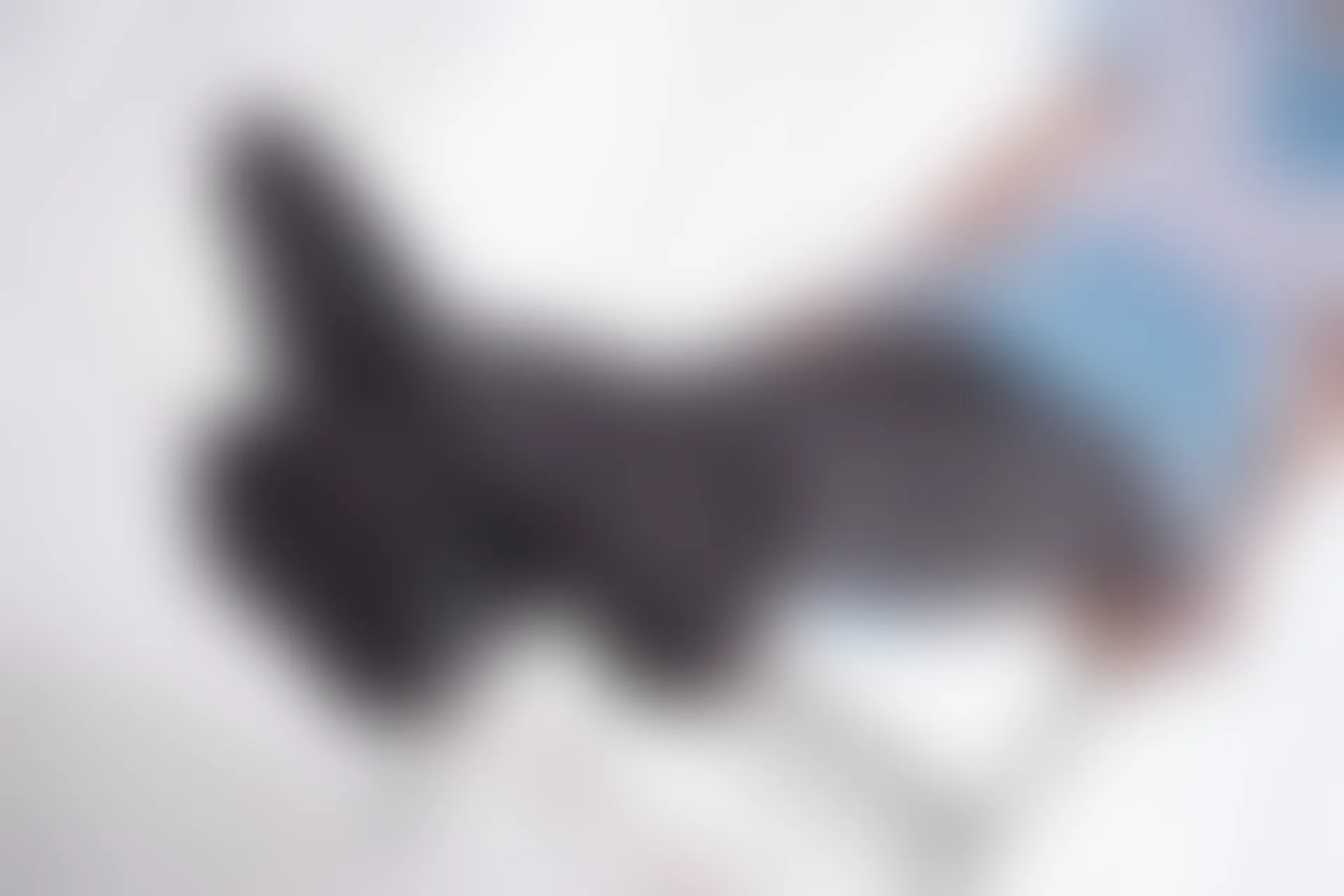 轻兰映画 VOL.015 [60P-626M]美腿, 美足, 轻兰映画, 黑丝