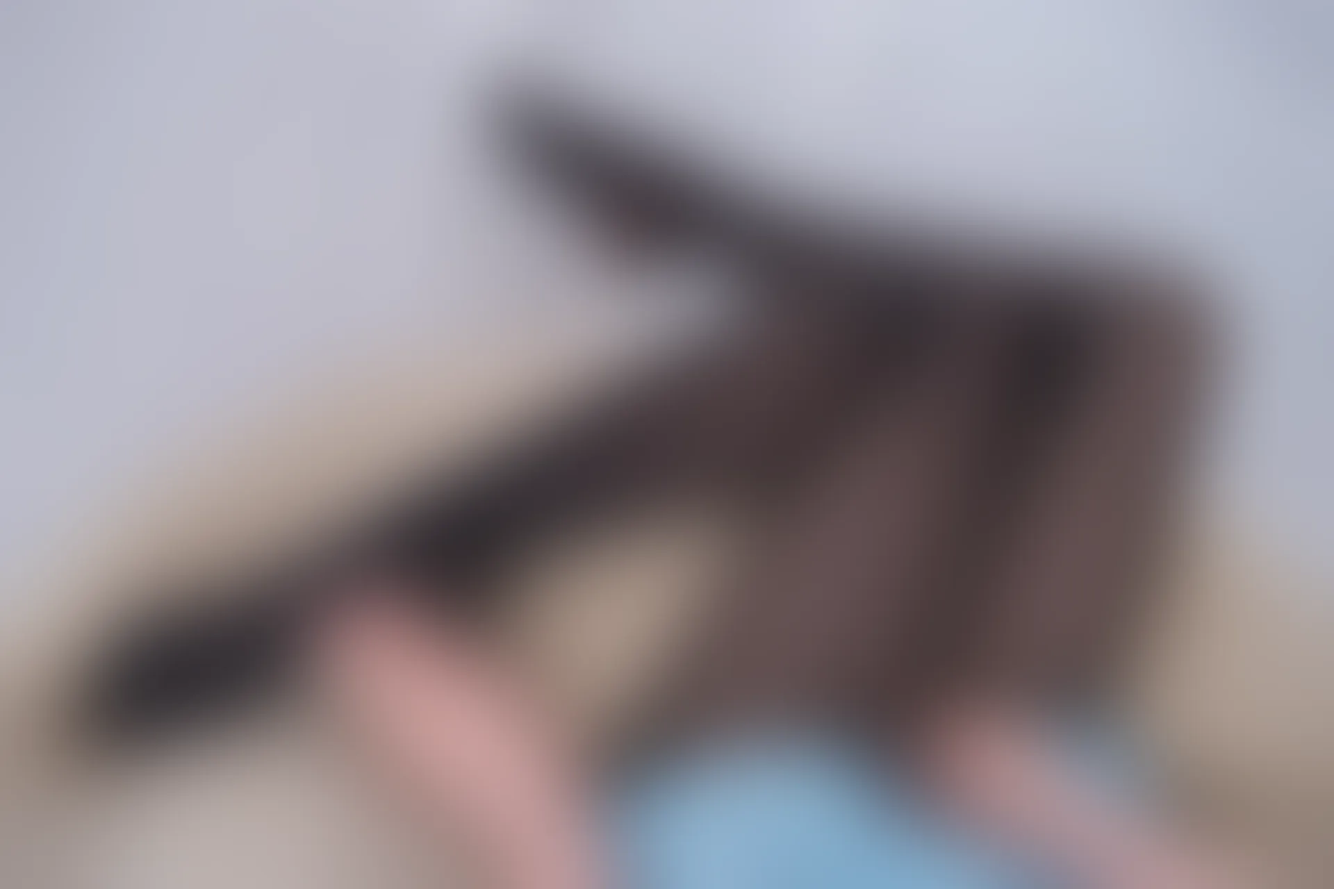 轻兰映画 VOL.015 [60P-626M]美腿, 美足, 轻兰映画, 黑丝