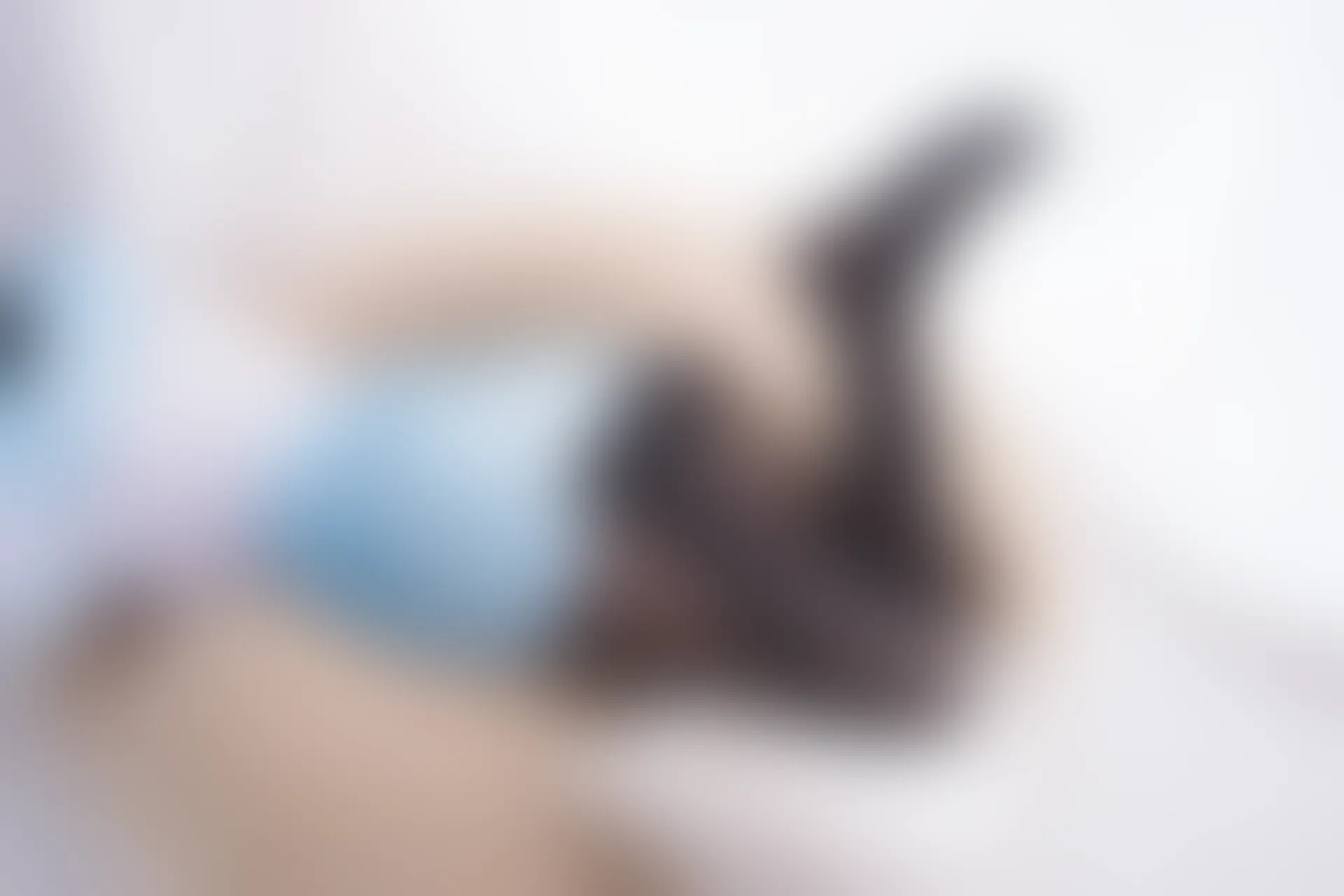 轻兰映画 VOL.015 [60P-626M]美腿, 美足, 轻兰映画, 黑丝