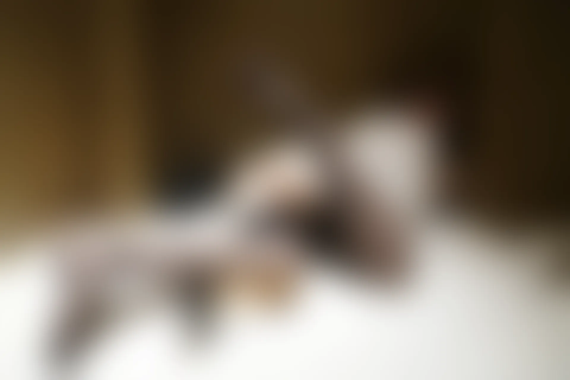 XiuRen秀人网 2020.10.30 No.2722 周于希Sandy[138+1P／1.18G]