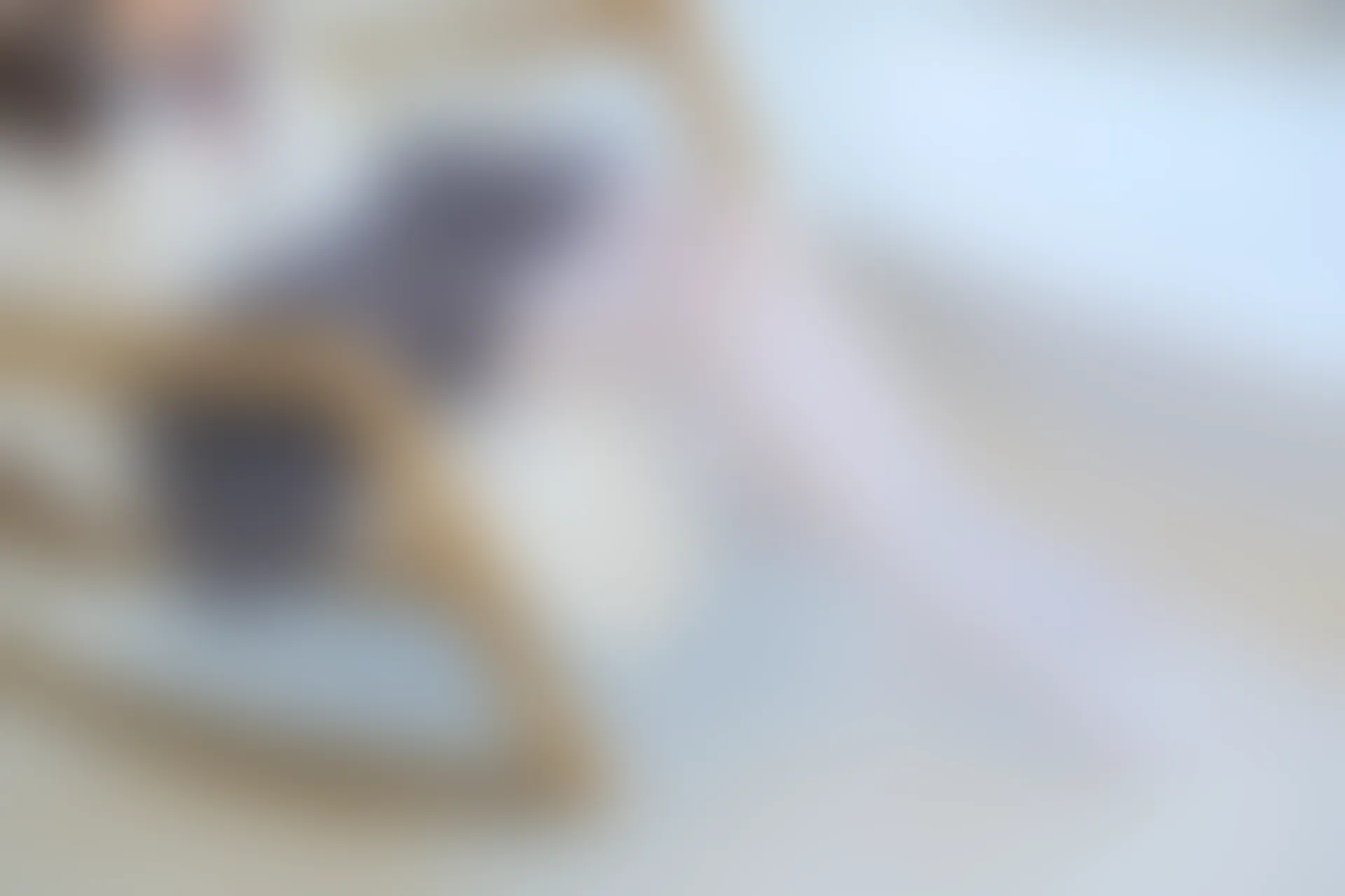 森萝财团 内部VIP系列 雏菊-08 双马尾白丝JK制服 [123P1V-5.61GB]
