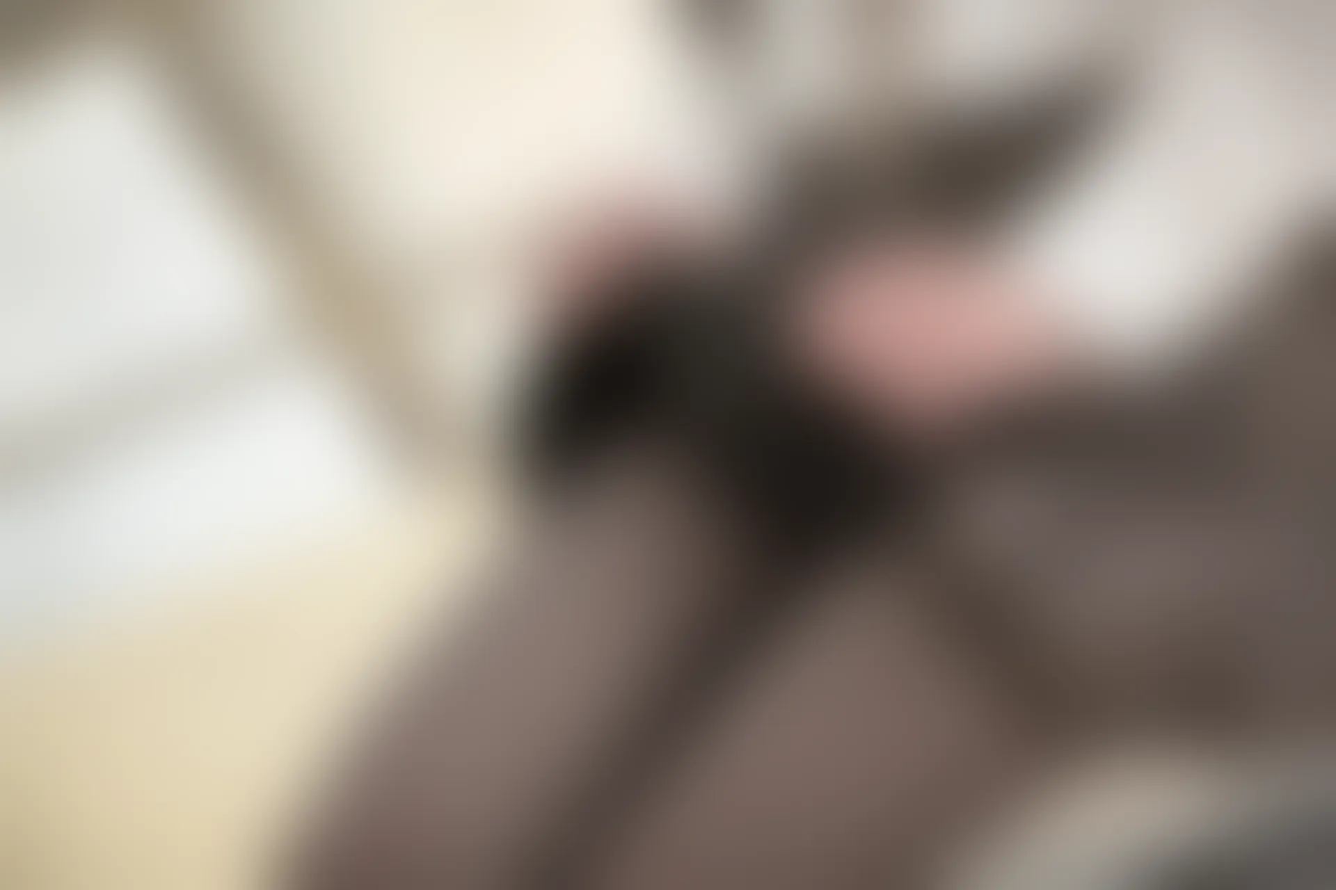 森萝财团 R15-043 [98P-604M]学生装, 森萝财团, 美腿, 黑丝