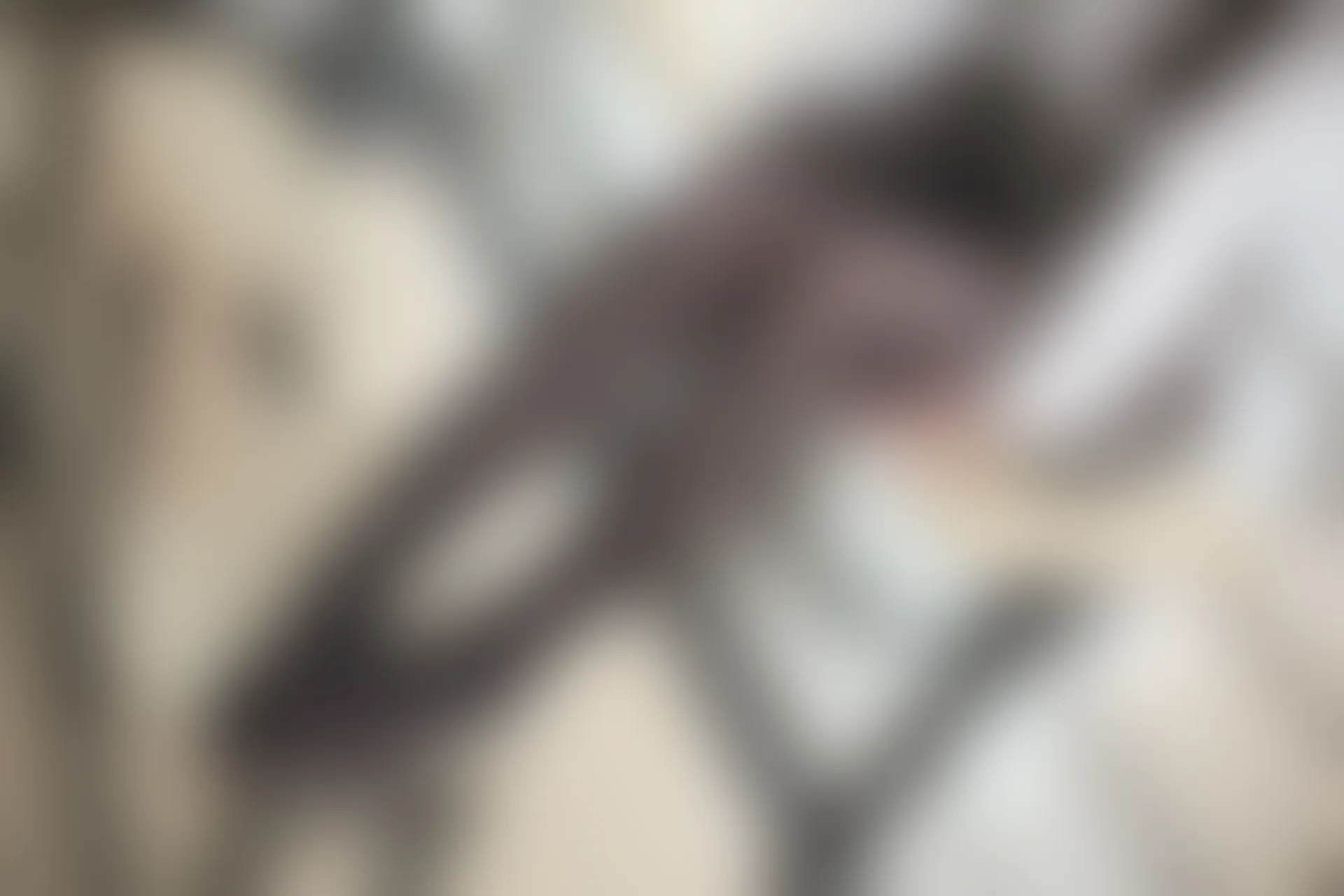 森萝财团 R15-043 [98P-604M]学生装, 森萝财团, 美腿, 黑丝