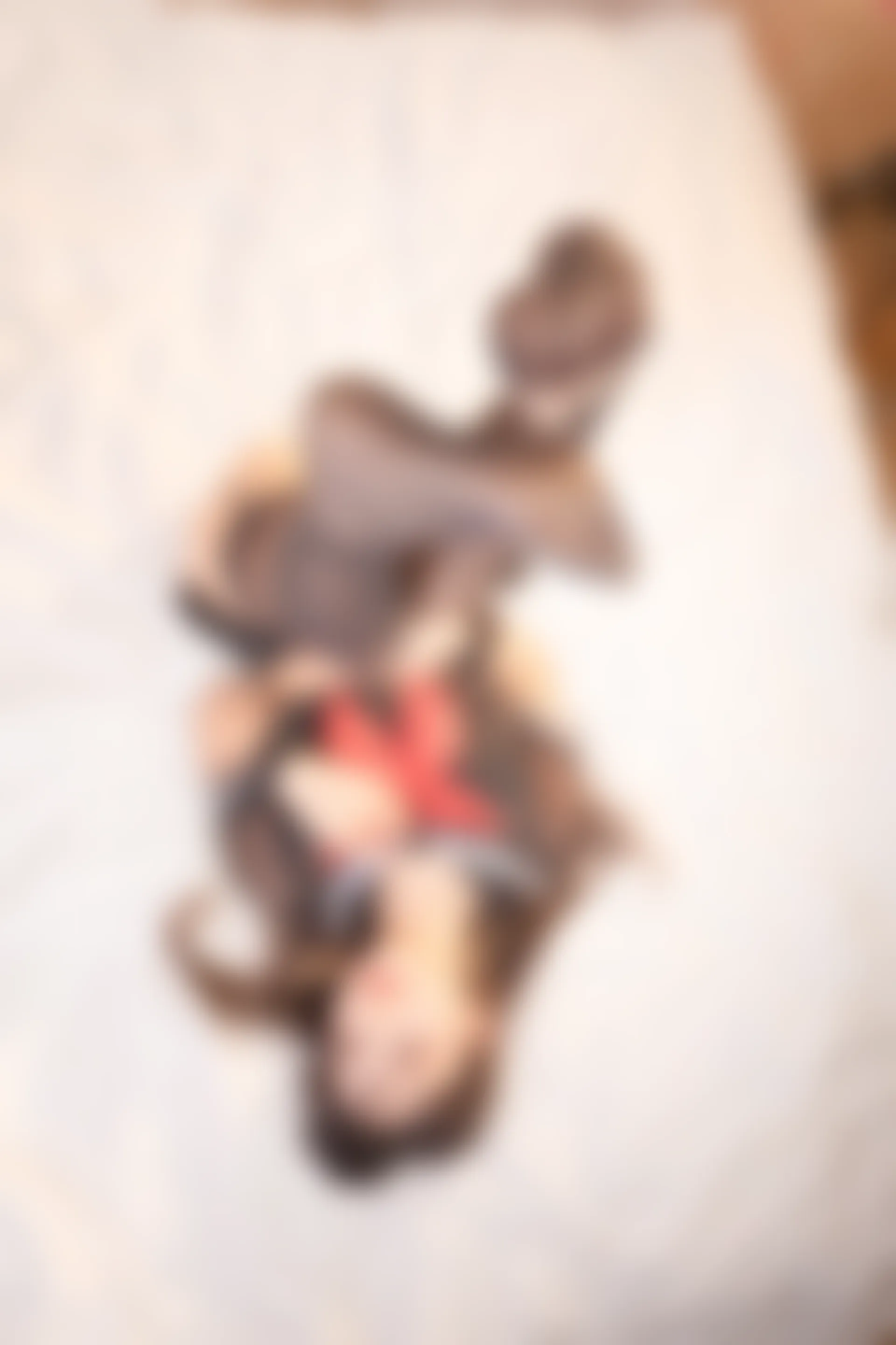 神楽坂真冬 第三季 序号22：《特別なことに》绳の特辑 [150P2V-632MB]JK制服, 内衣, 双马尾, 白丝, 神楽坂真冬, 美腿, 美足, 高跟鞋, 黑丝