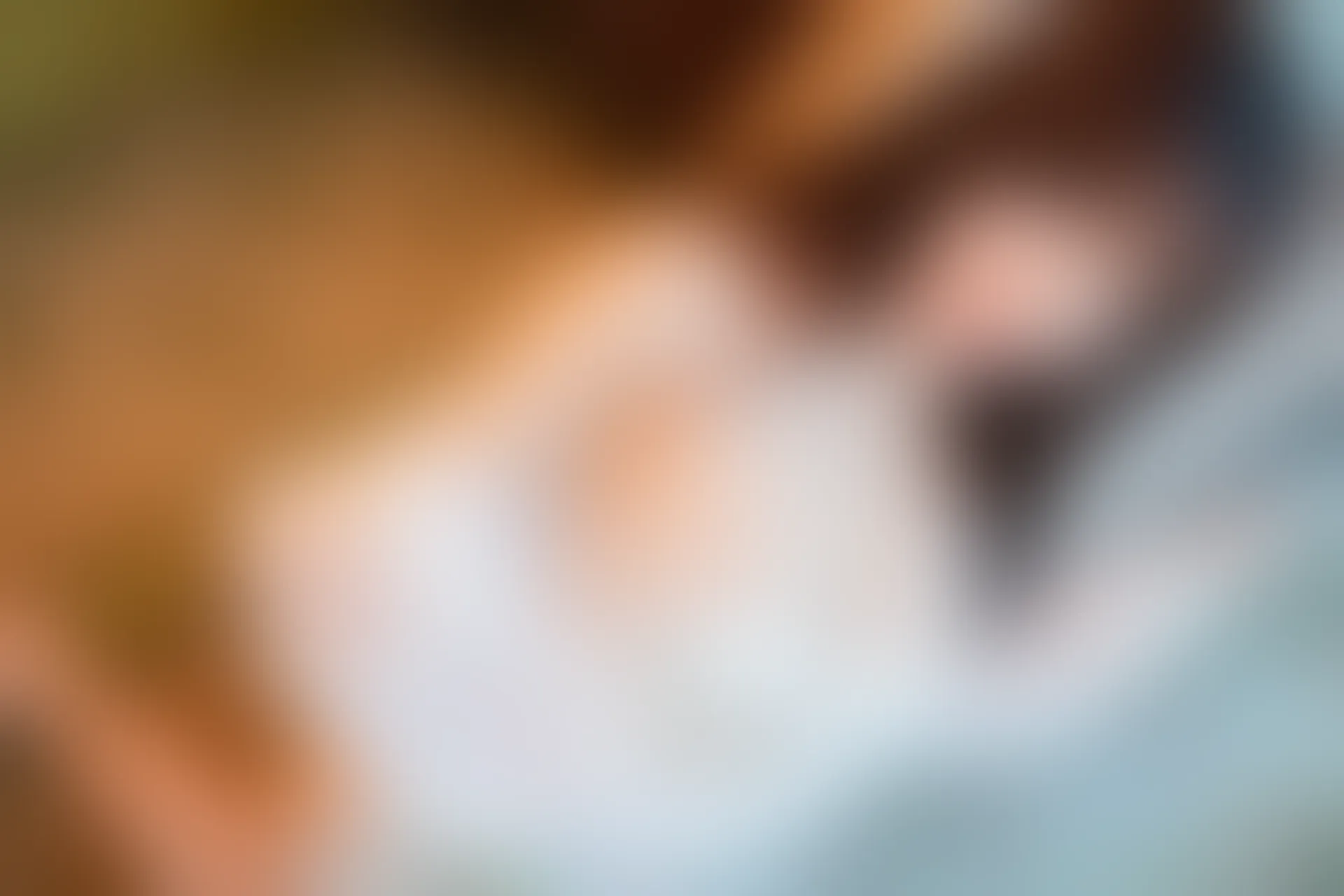 XiuRen秀人网 2018.12.27 No.1291 小仓鼠[40+1P95M]