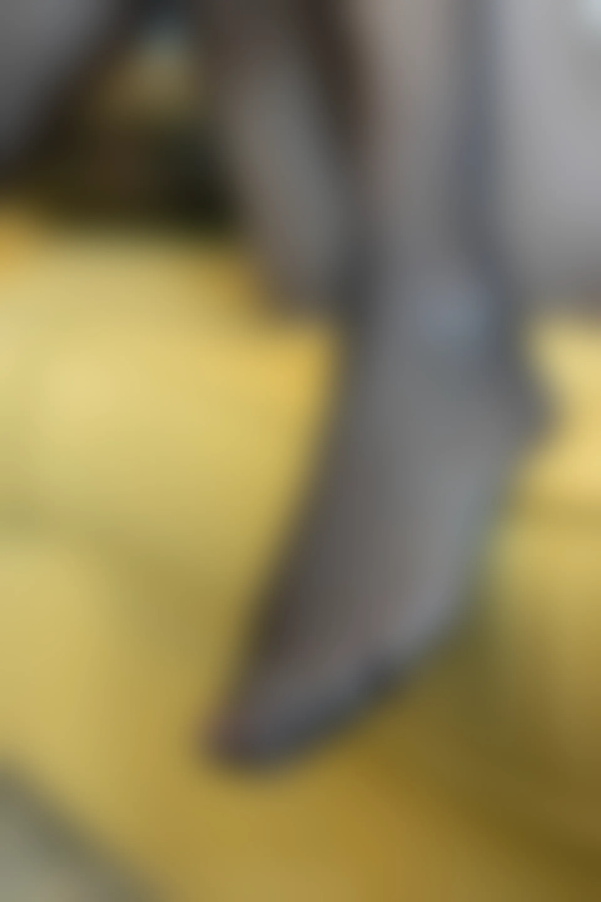 XIUREN秀人网 2020.02.15 NO.1978 杨紫嫣Cynthia[56+1P／273M]