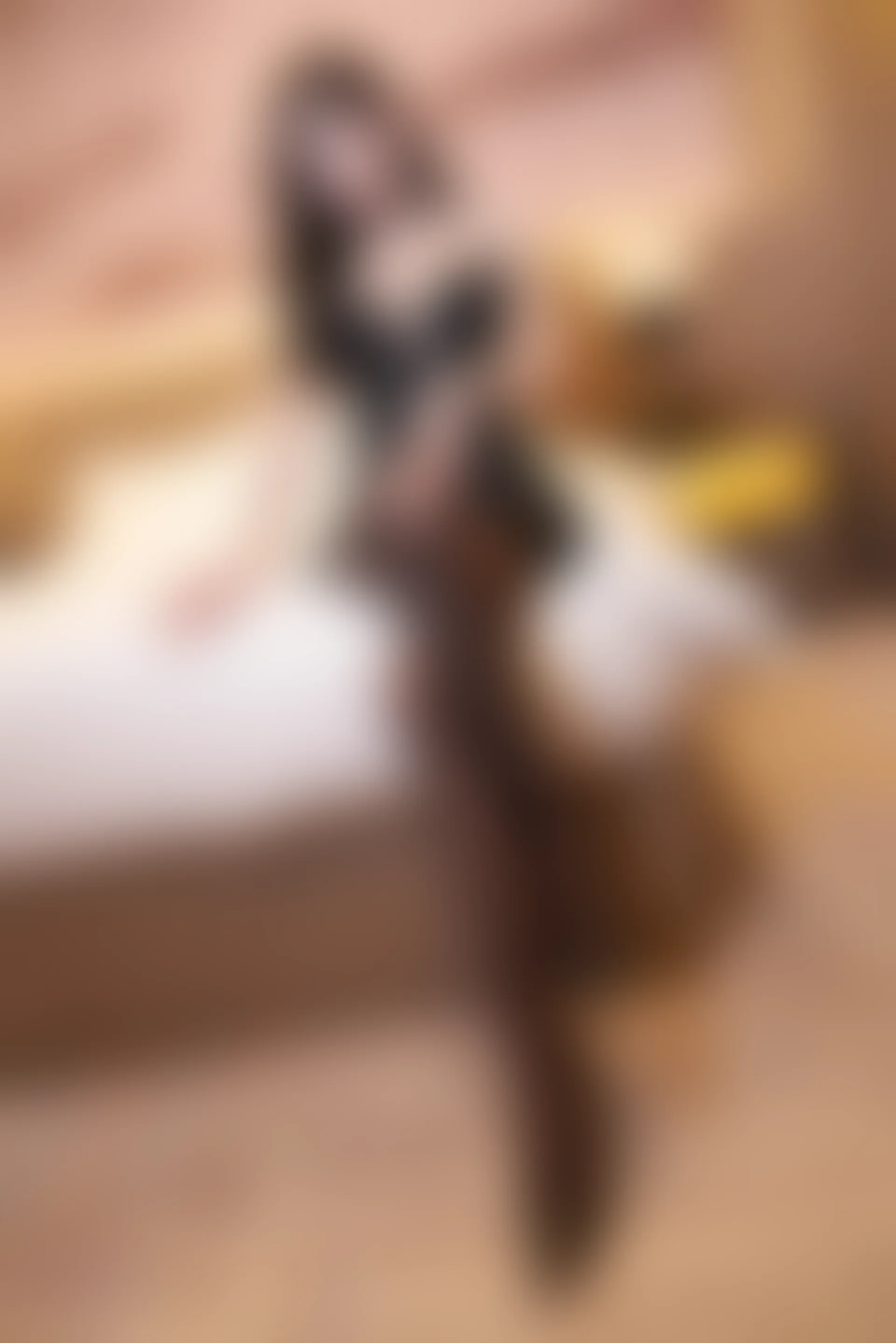 XiuRen秀人网 2021.11.02 No.4157 周于希Sandy 黑丝 美腿[71+1P 772MB]