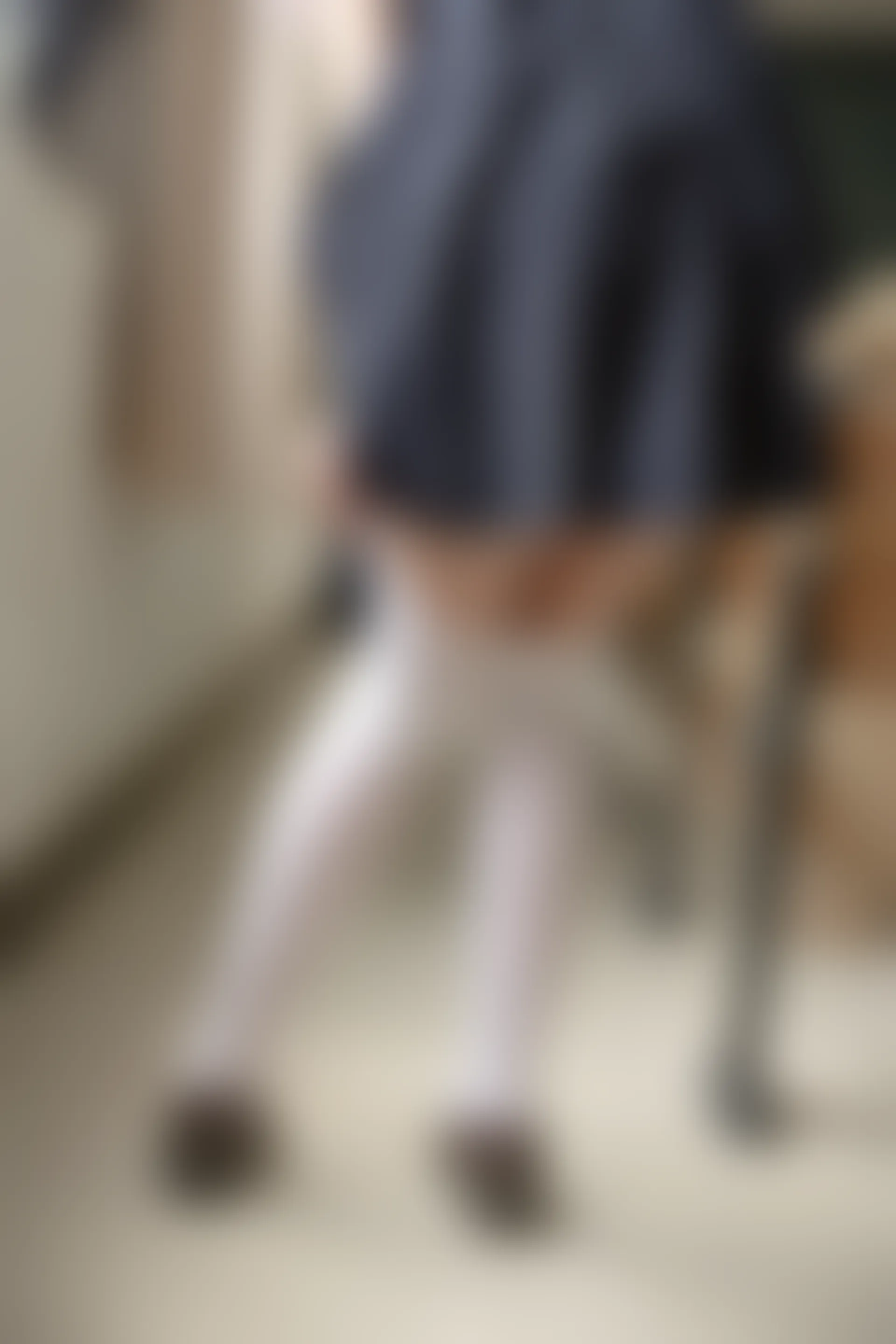 森萝财团 X-027 [113P1V-2.2G制服, 学生装, 校服, 森萝财团, 白丝, 美腿