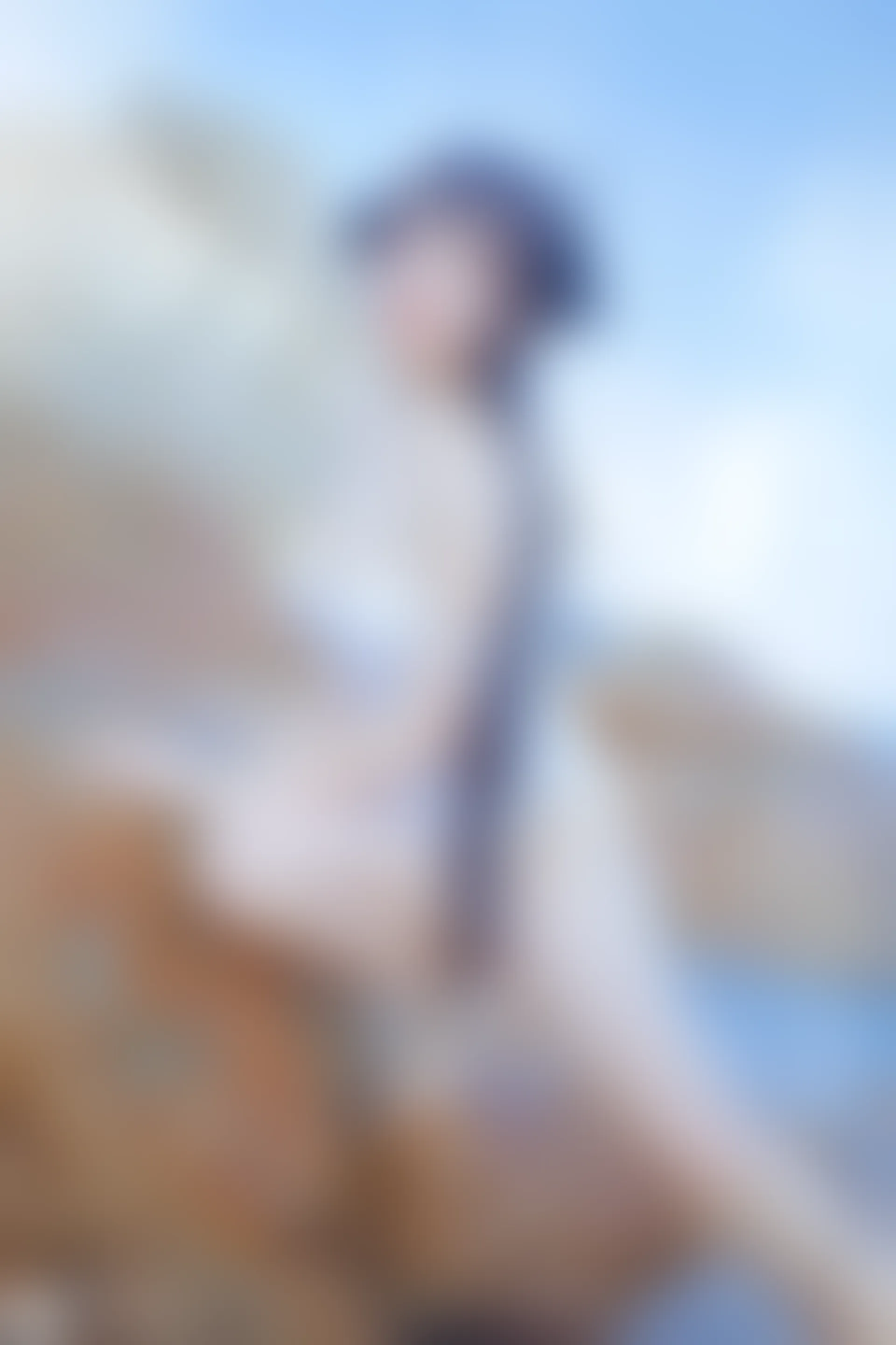 C16.001 獒犬海边泳装 [41P-403MB]