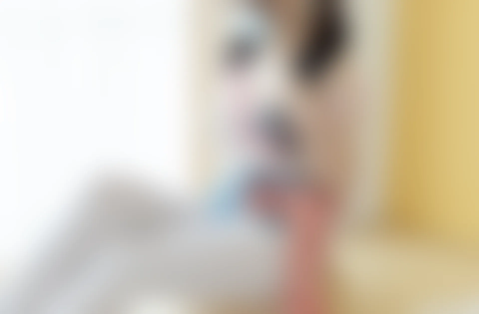 少女秩序 内部定制 NO.03 白丝碎花双马尾 [98P-1.37GB]内衣, 双马尾, 少女秩序, 白丝, 美腿, 美足