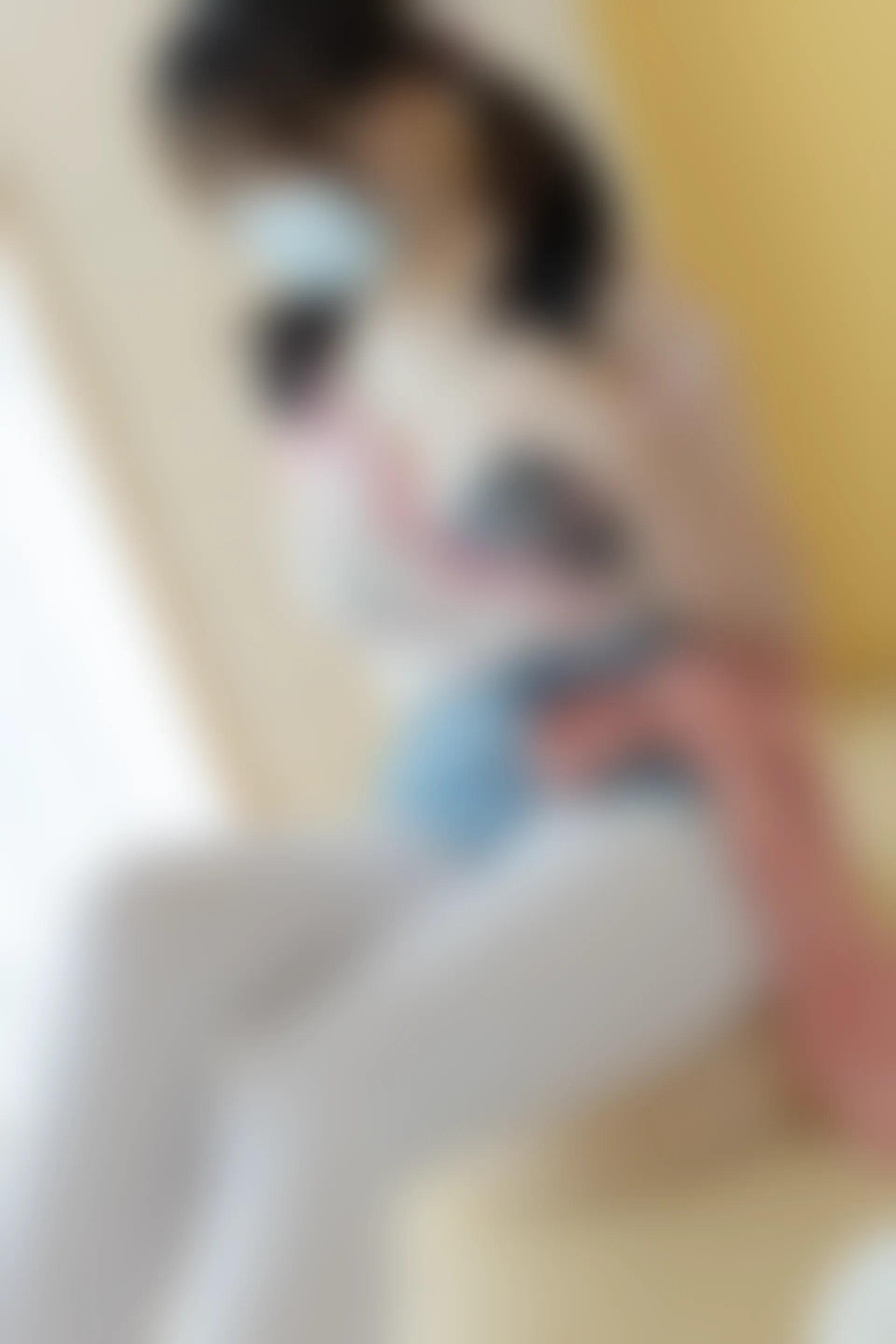 少女秩序 内部定制 NO.03 白丝碎花双马尾 [98P-1.37GB]内衣, 双马尾, 少女秩序, 白丝, 美腿, 美足