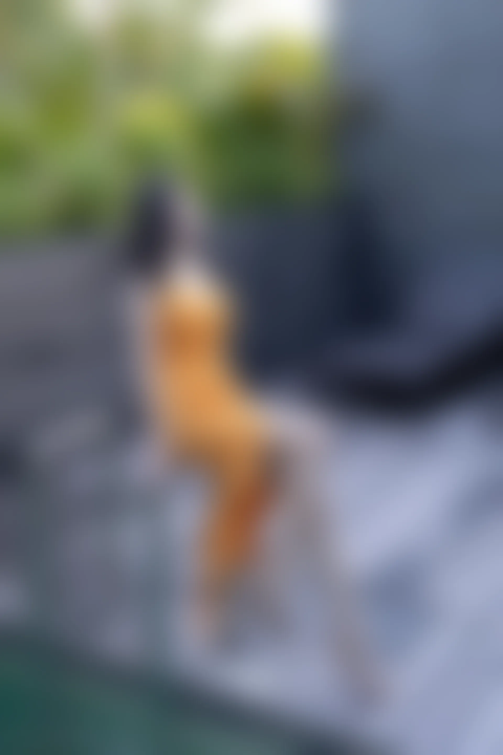 XiuRen秀人网 2021.12.21 No.4363 小蛮妖Yummy 深圳旅拍[74+1P 723MB]