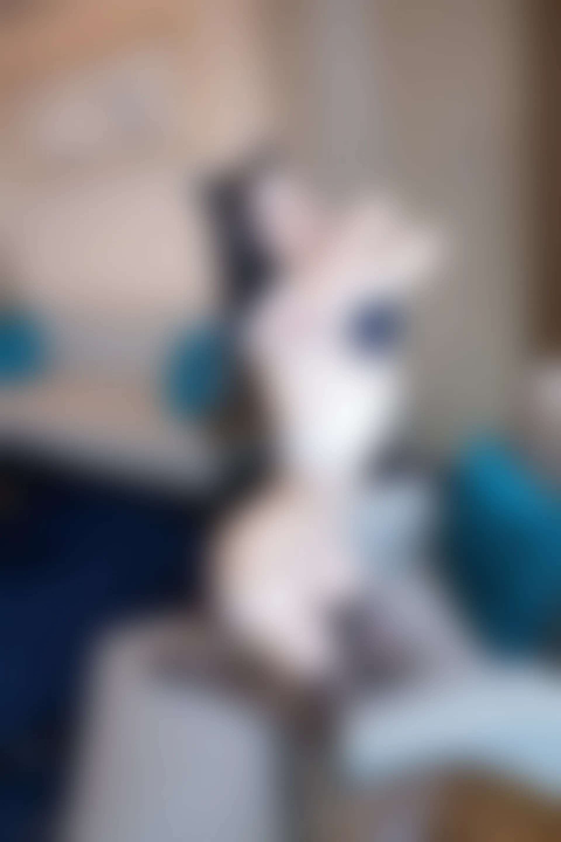 XiuRen秀人网 2021.12.21 No.4363 小蛮妖Yummy 深圳旅拍[74+1P 723MB]