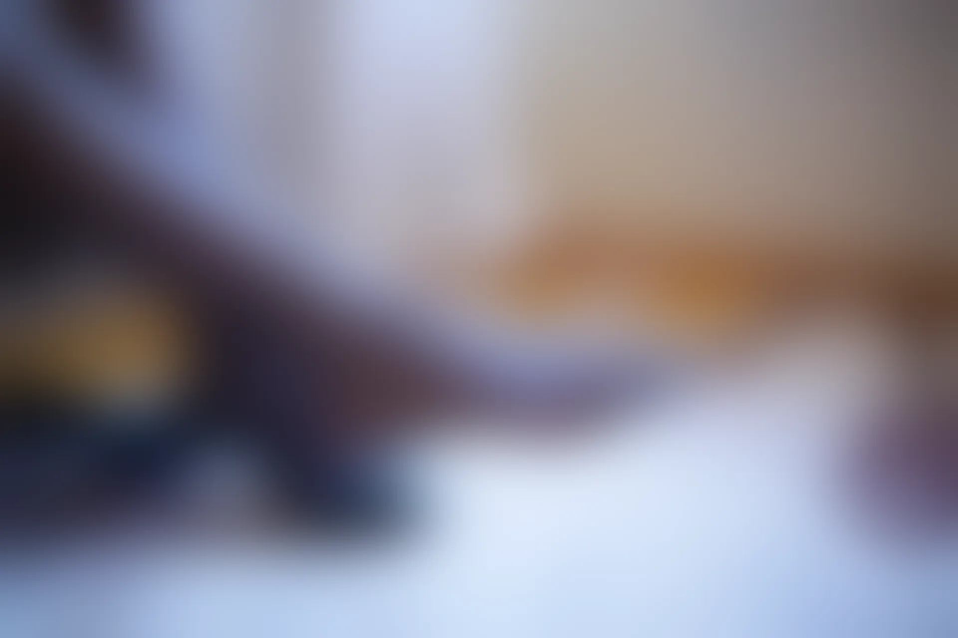 XIUREN秀人网 2020.01.15 NO.1933 伊思思[50+1P／212M]